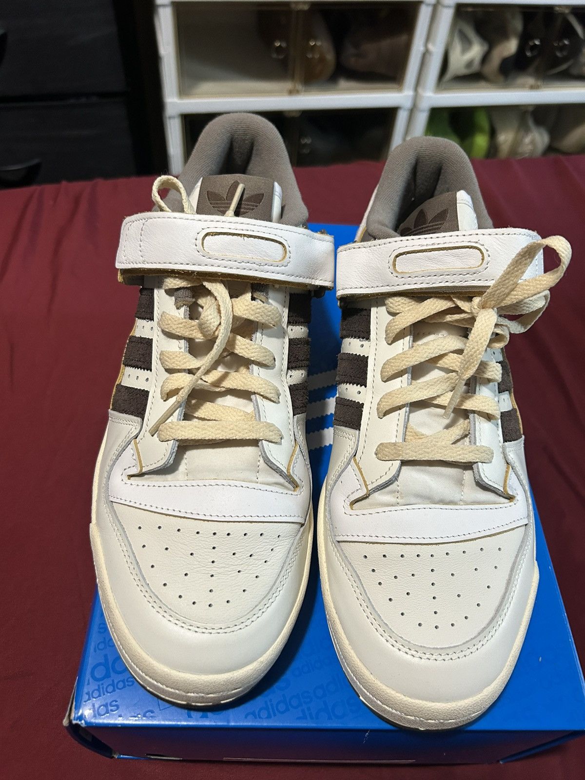 Forum 84 Low
