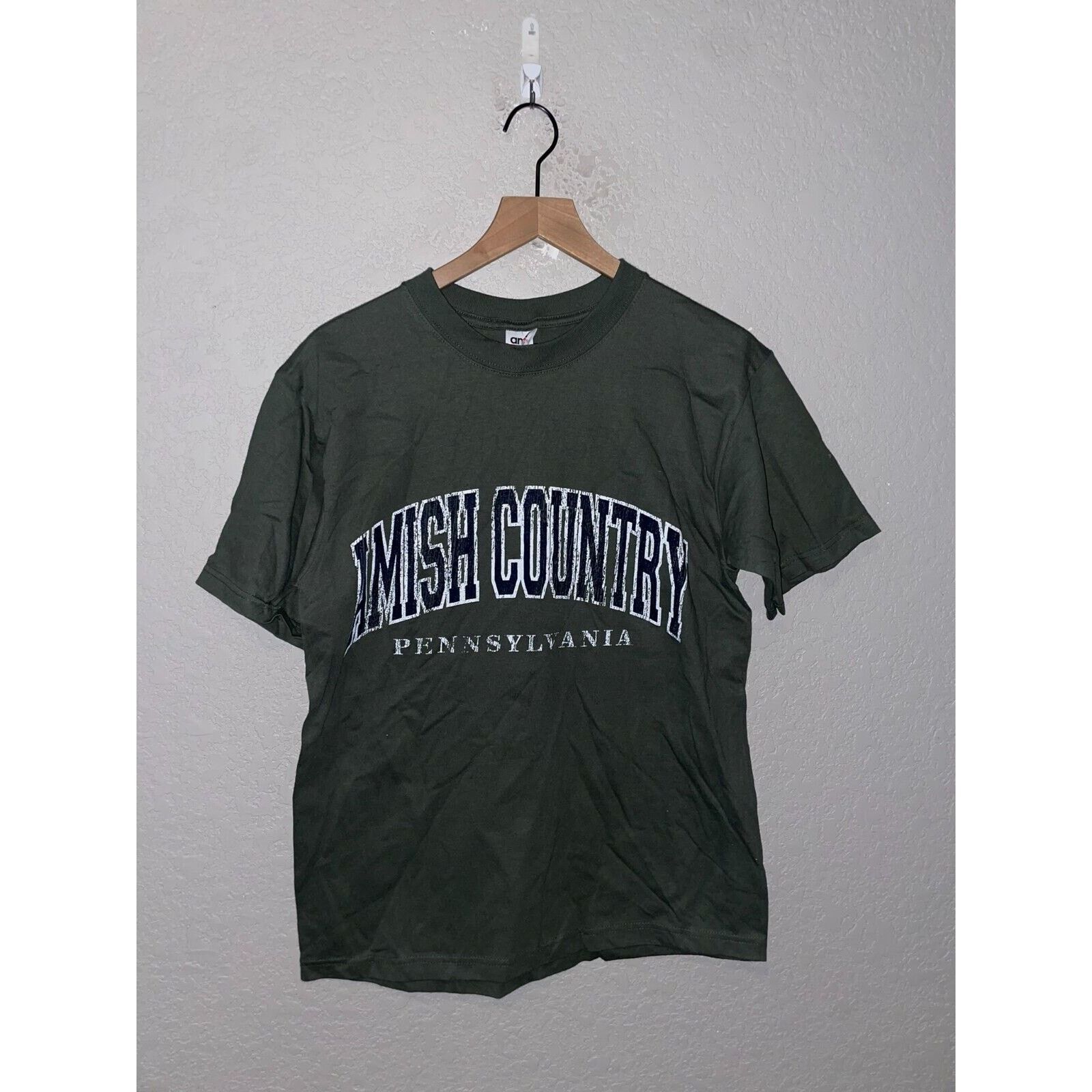 Anvil Vintage Amish Country Shirt Pennsylvania Green Tee VTG 90s M Size US M / EU 48-50 / 2 - 1 Thumbnail