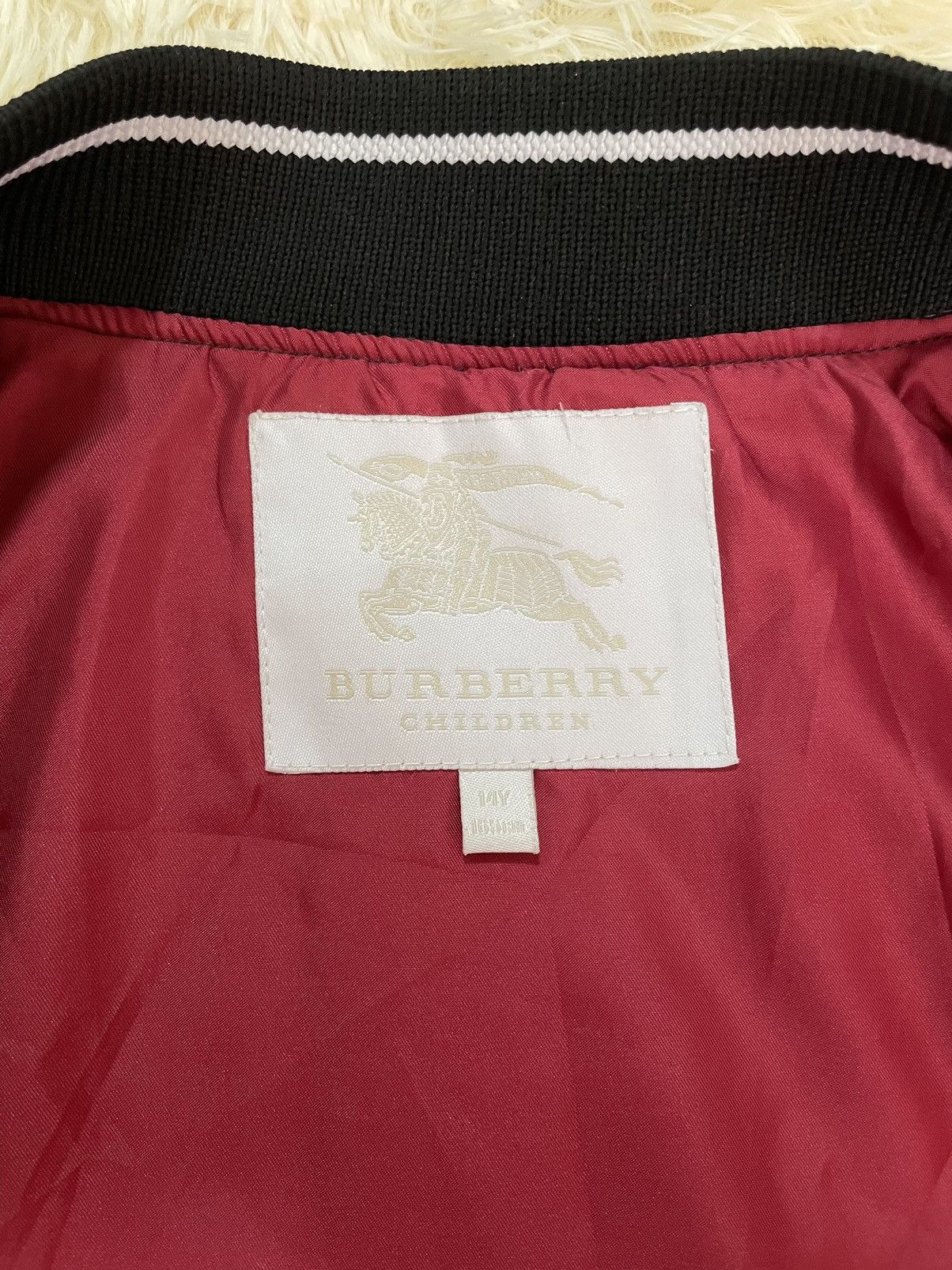 Burberry Burberry Striped Bomber Jacket In Multicolor Viscose Size S / US 4 / IT 40 - 2 Thumbnail