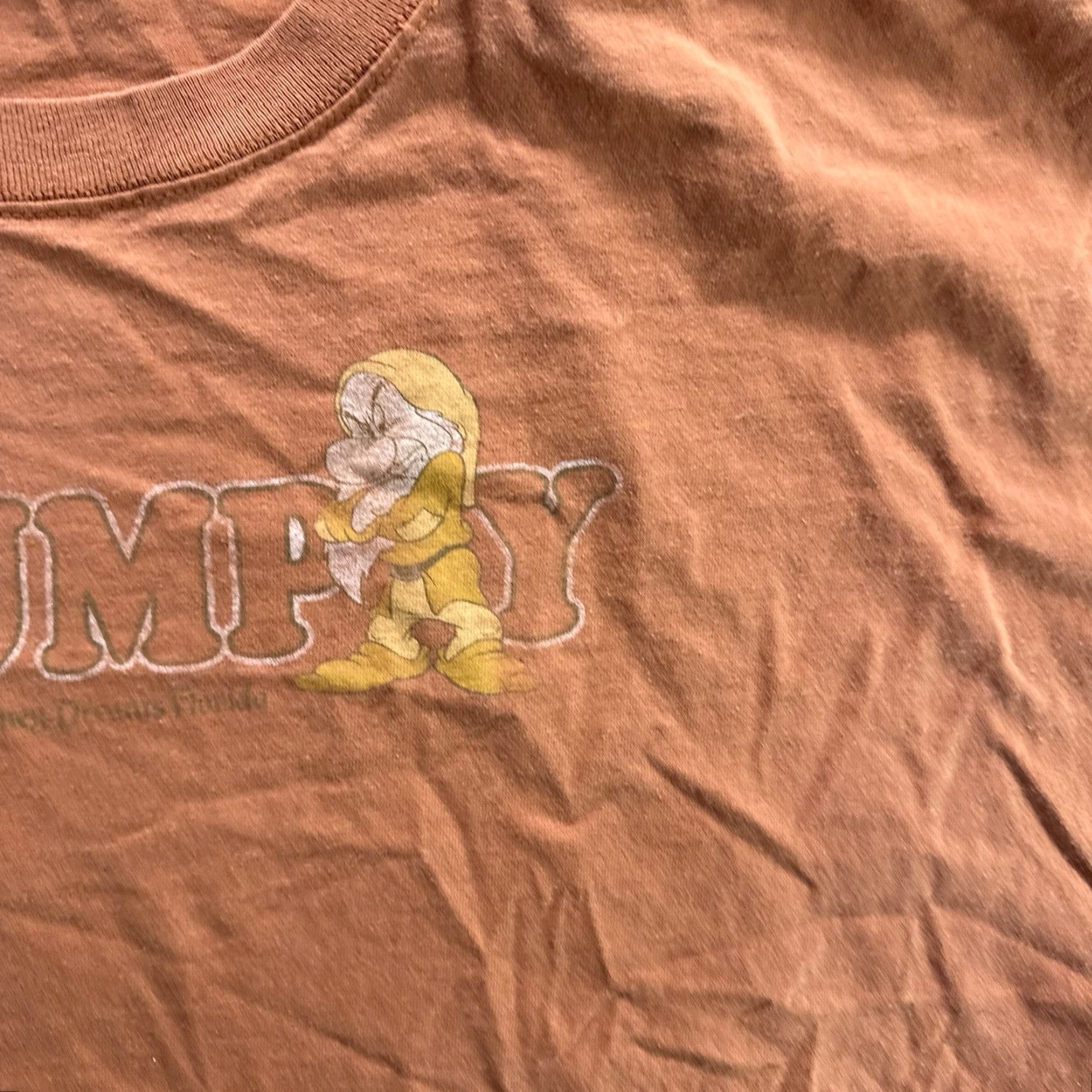 Disney VTG Disney Grumpy Dwarf Shirt Mens XL Rust Brown Snow White Graphic Tee T-Shirt Size US XL / EU 56 / 4 - 7 Thumbnail