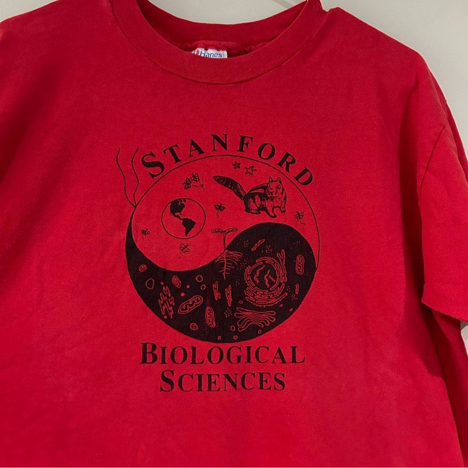 Hanes Vintage Stanford Biological Sciences Shirt Size US L / EU 52-54 / 3 - 2 Thumbnail