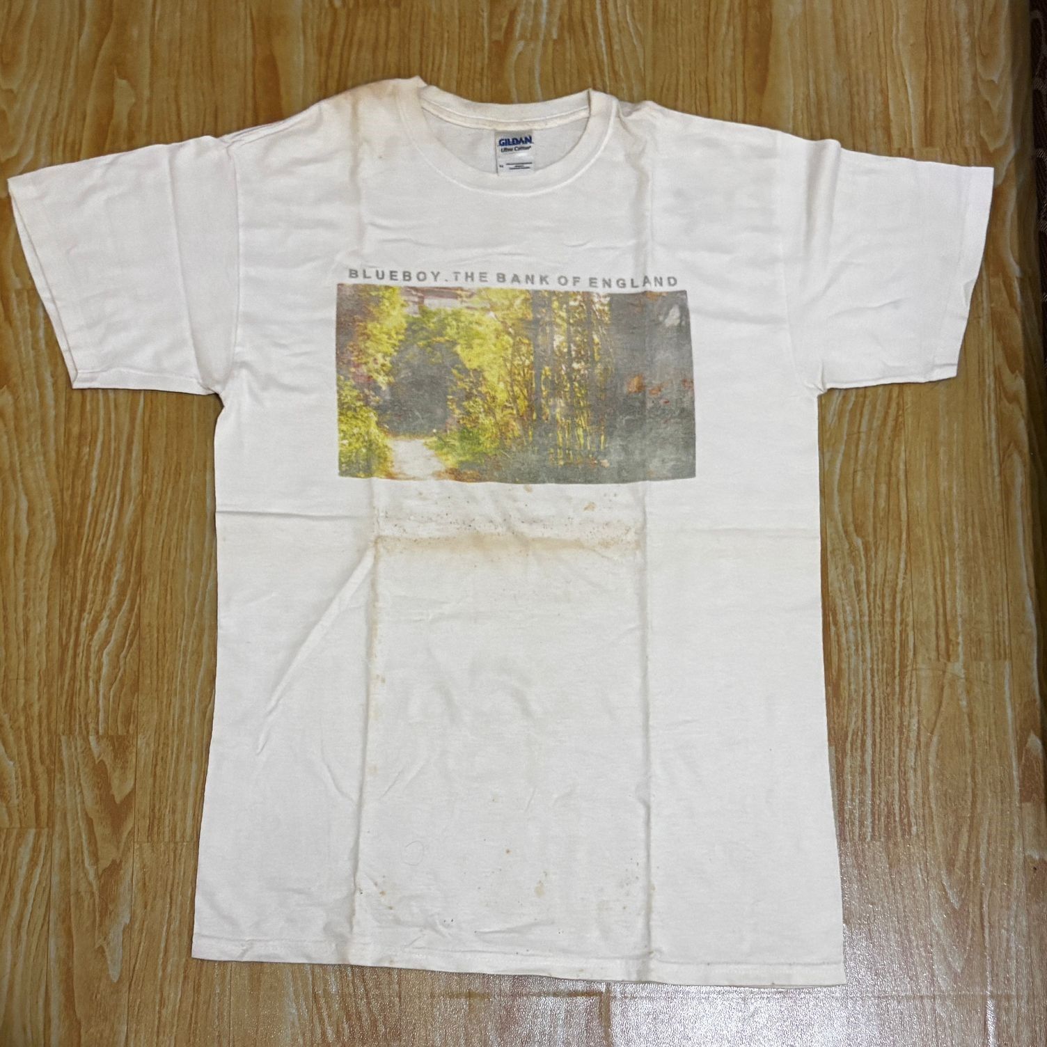 Band Tees Vtg Y2k Blueboy the field mice The Orchids sarah record Size US M / EU 48-50 / 2 - 2 Thumbnail