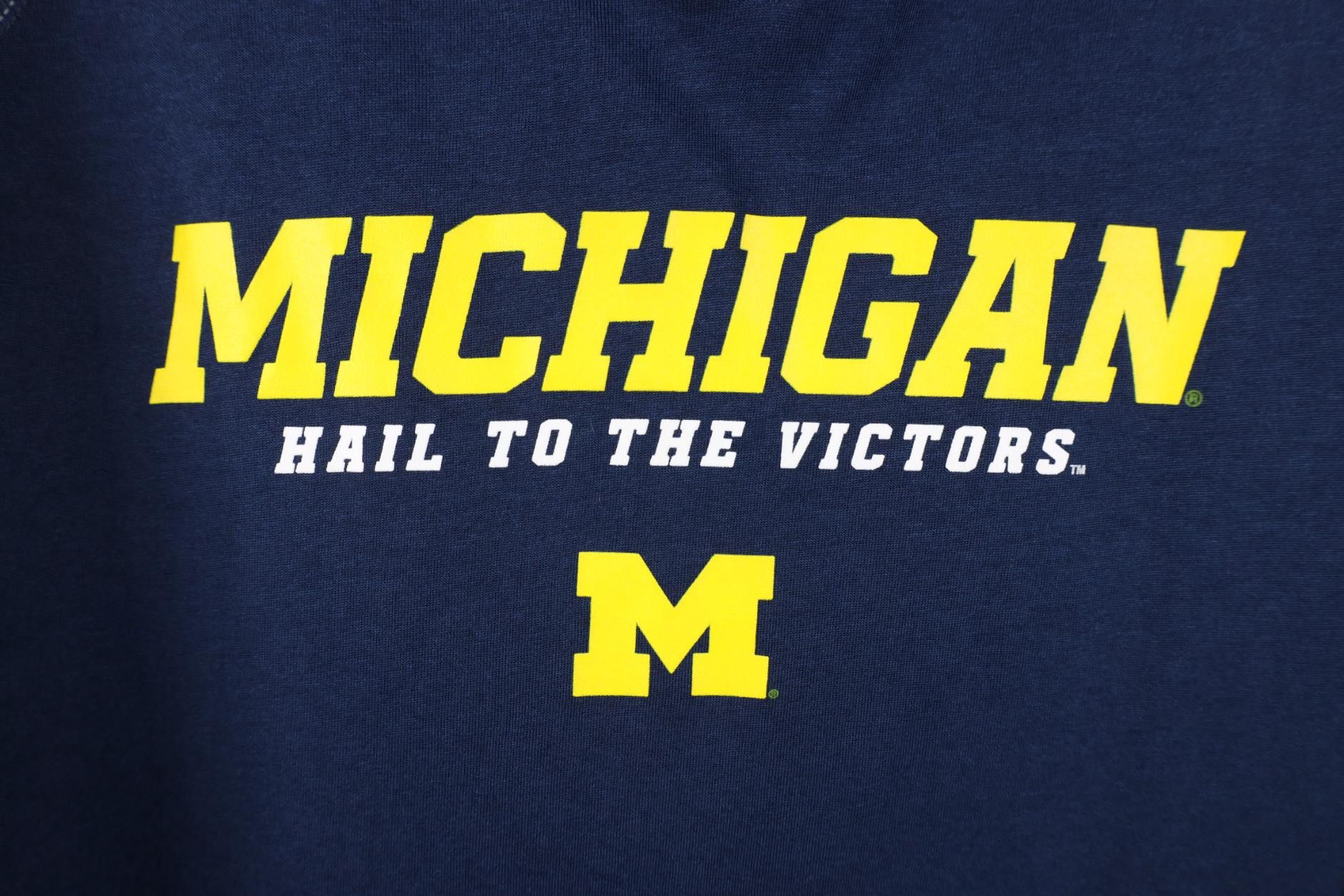 Adidas Adidas University of Michigan Long Sleeve T-Shirt Blue Size L / US 10 / IT 46 - 4 Thumbnail