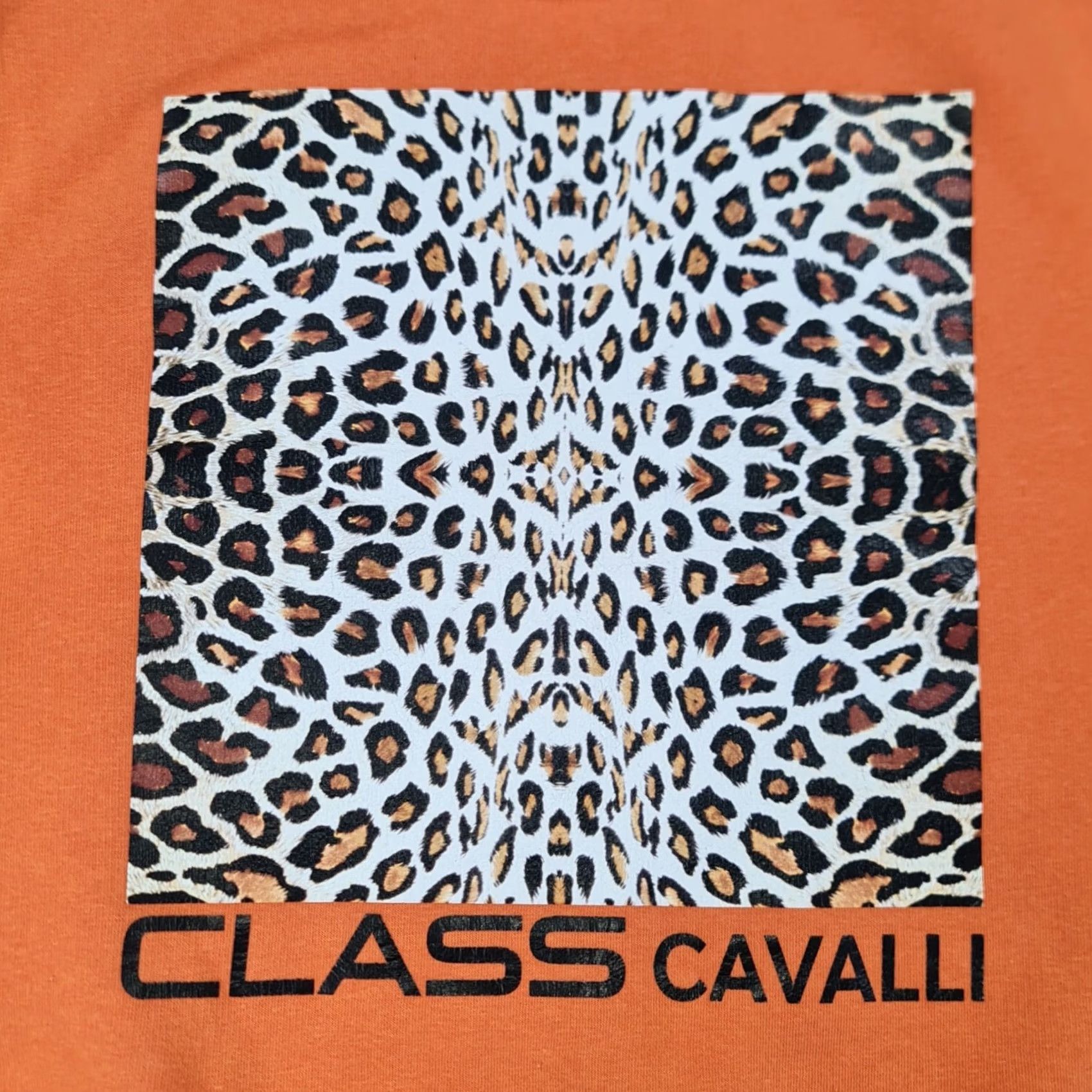 Cavalli Class Cavalli Class Sweatshirt Leopard Print Logo Pullover Womens Small Black Color, Regular Fit, Long Sleeve Crew Neck, Knit Fleece Activewear Size S / US 4 / IT 40 - 5 Thumbnail