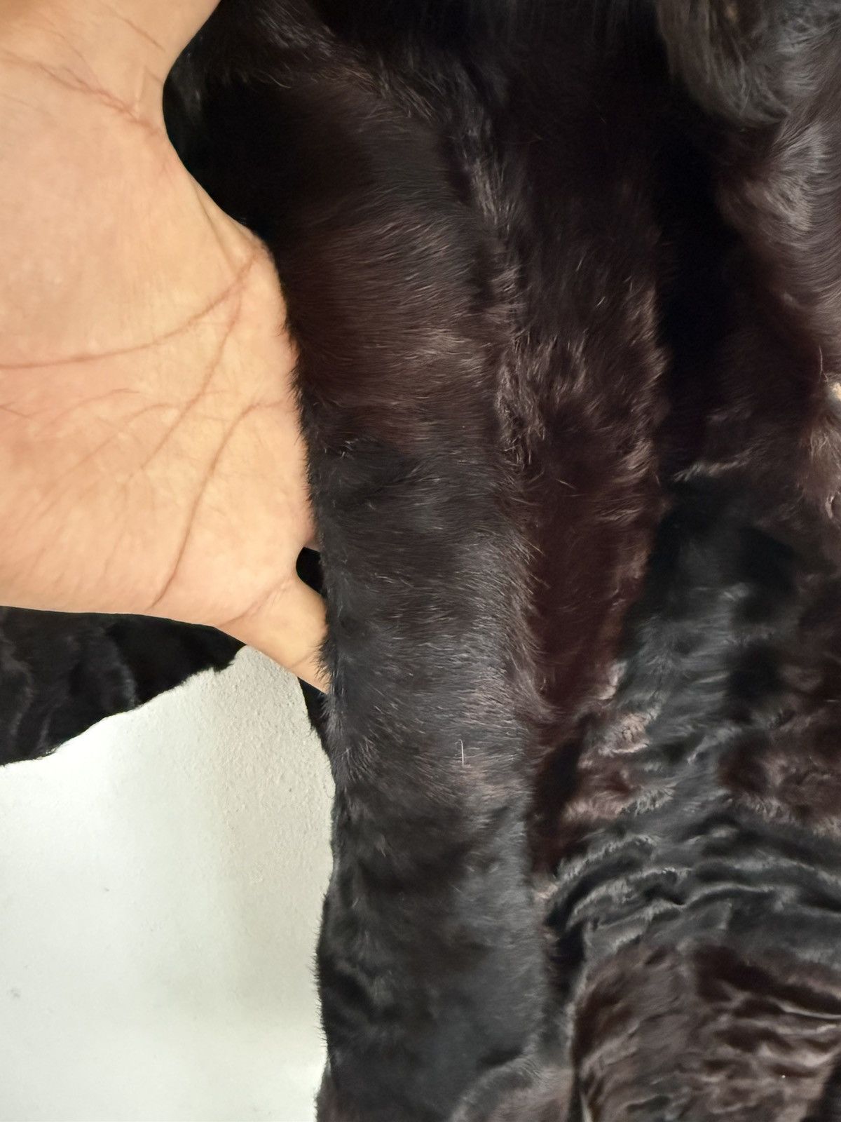 Genuine Leather VINTAGE JAPANESE FAUX FUR JACKET LEATHER BUTTON LESS Size M / US 6-8 / IT 42-44 - 6 Thumbnail