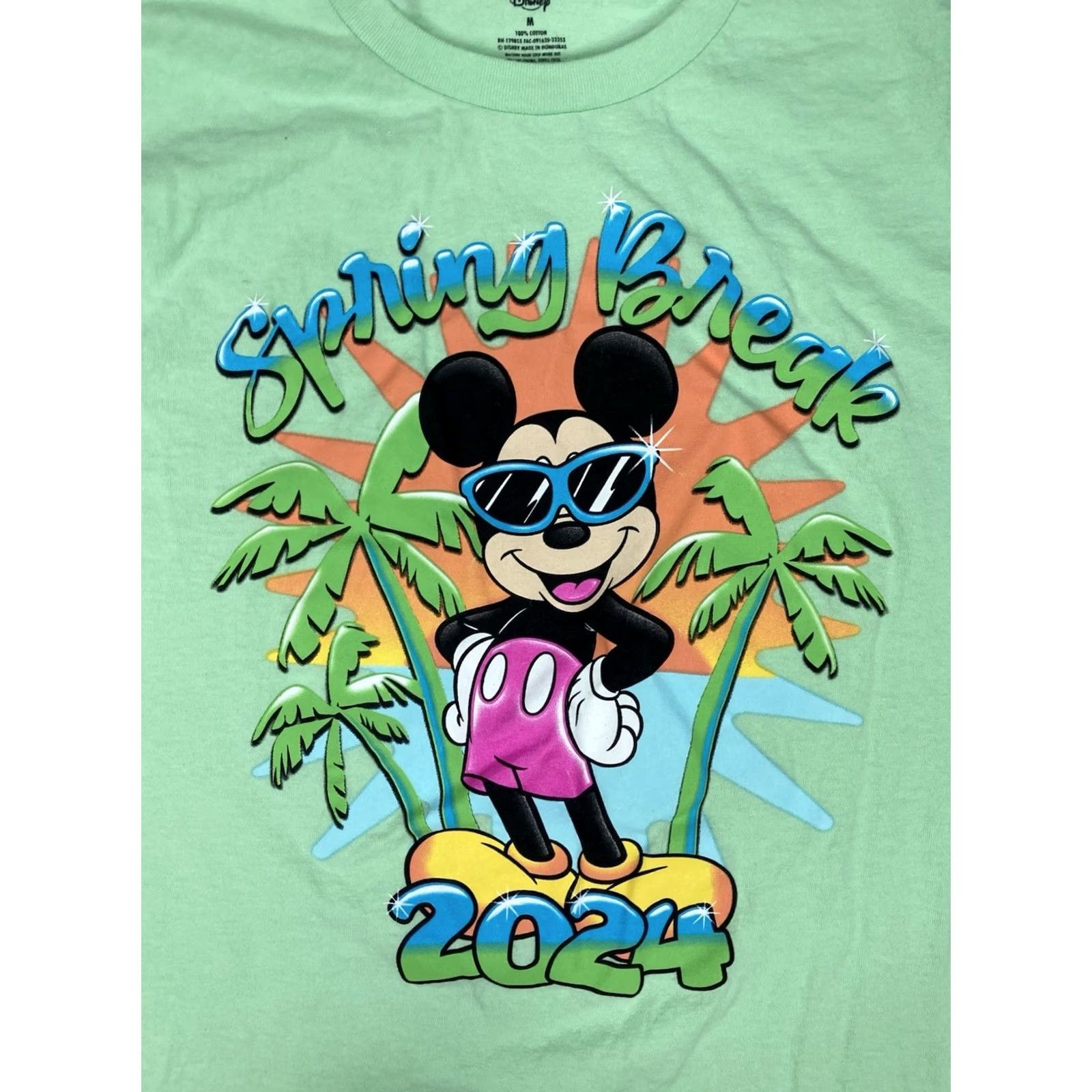 Disney Disney Mickey Mouse Spring Break 2024 Graphic T-shirt Men Medium Green Size US M / EU 48-50 / 2 - 2 Thumbnail