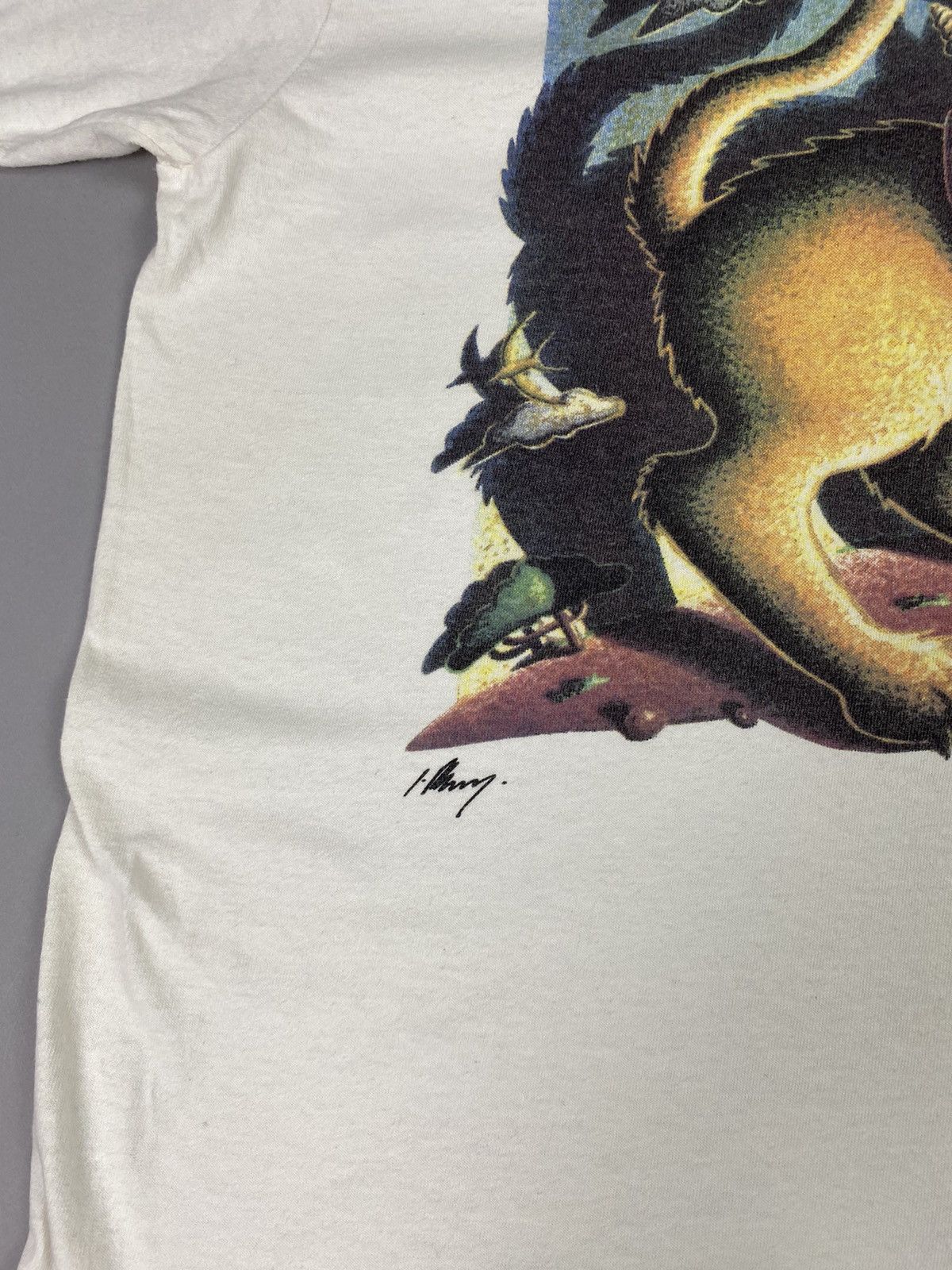 Vintage Rare Lynx “The Roar of Dissprowal” Lion Vintage T-Shirt Size US XXL / EU 58 / 5 - 4 Thumbnail