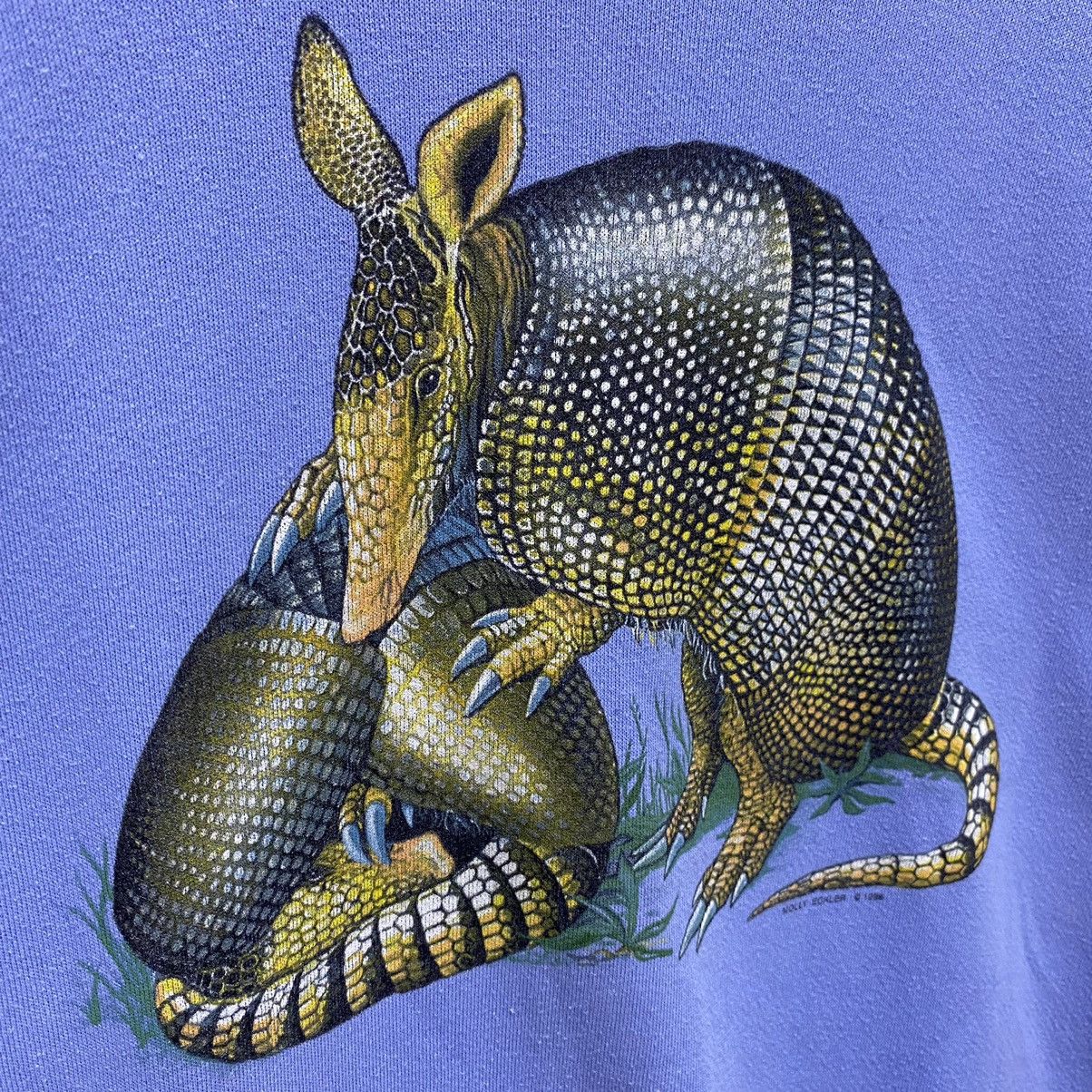 Other Vintage 1996 Armadillo Graphic Sweatshirt, Molly Eckler Art Size US L / EU 52-54 / 3 - 7 Thumbnail