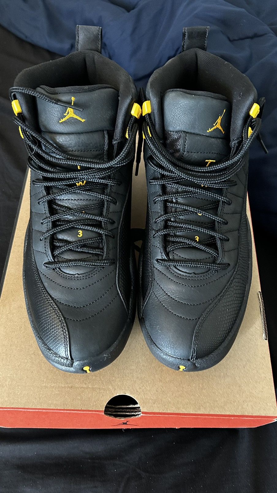 Jordan Brand Air Jordan 12 Retro 'Black Taxis' Size US 11 / EU 44 - 1 Thumbnail