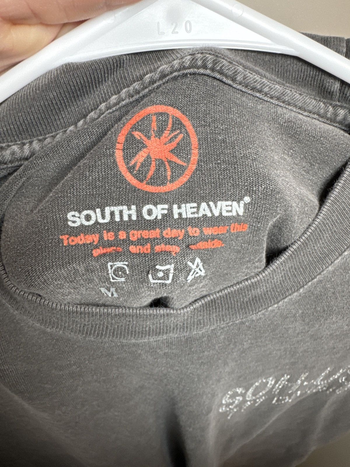 T shirt