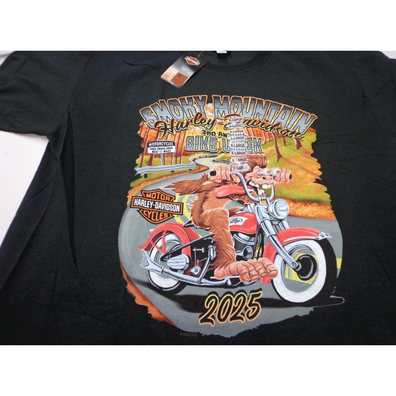 Harley Davidson Harley-Davidson T-Shirt Harley-Davidson Smoky Mountain Motorcycle 2025 Bike Week Black XL Men Short Sleeve Crew Neck Graphic Print Vintage No Size US XL / EU 56 / 4 - 2 Thumbnail