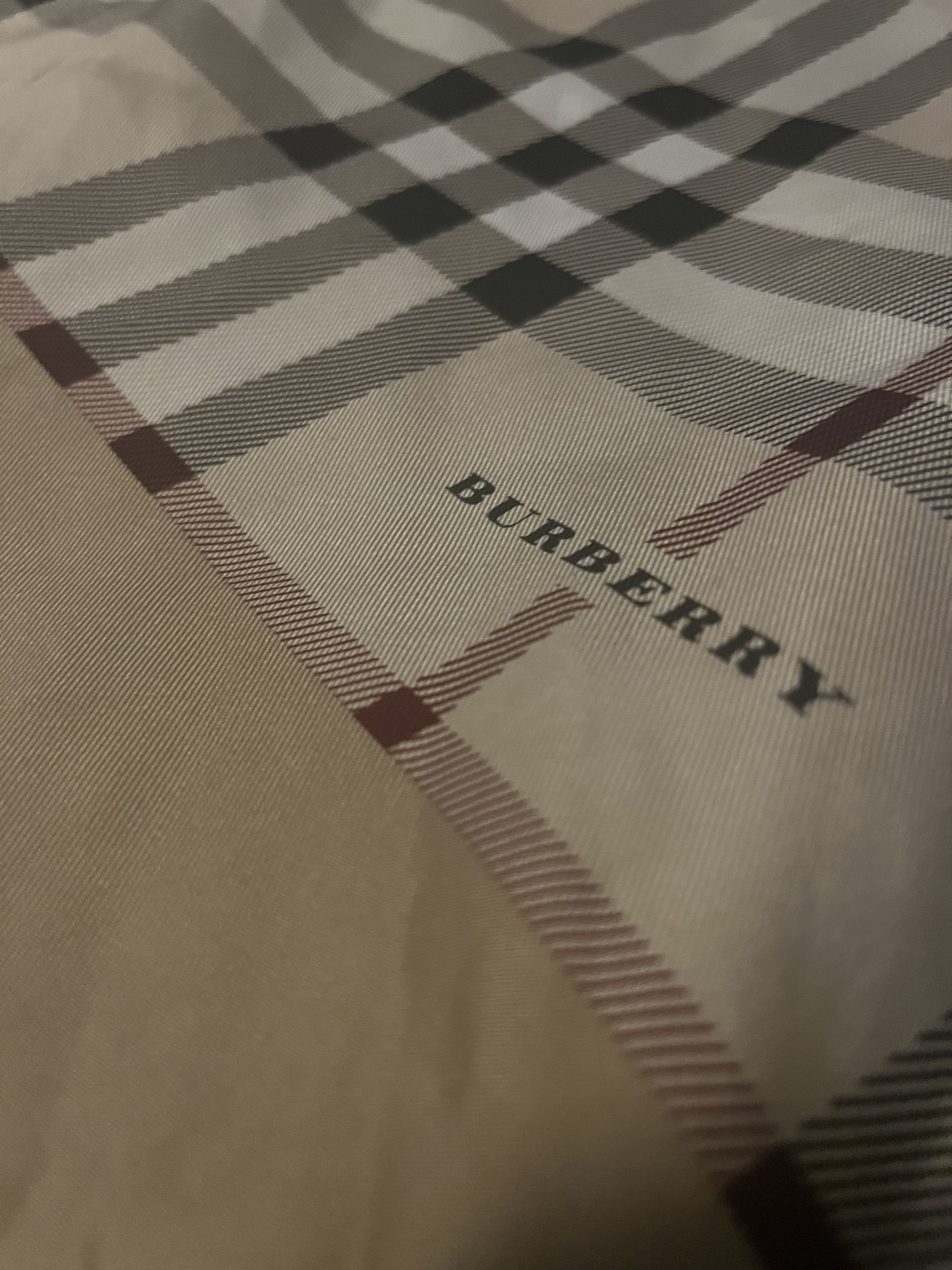 Burberry Burberry Silk Scarf Size ONE SIZE - 2 Thumbnail