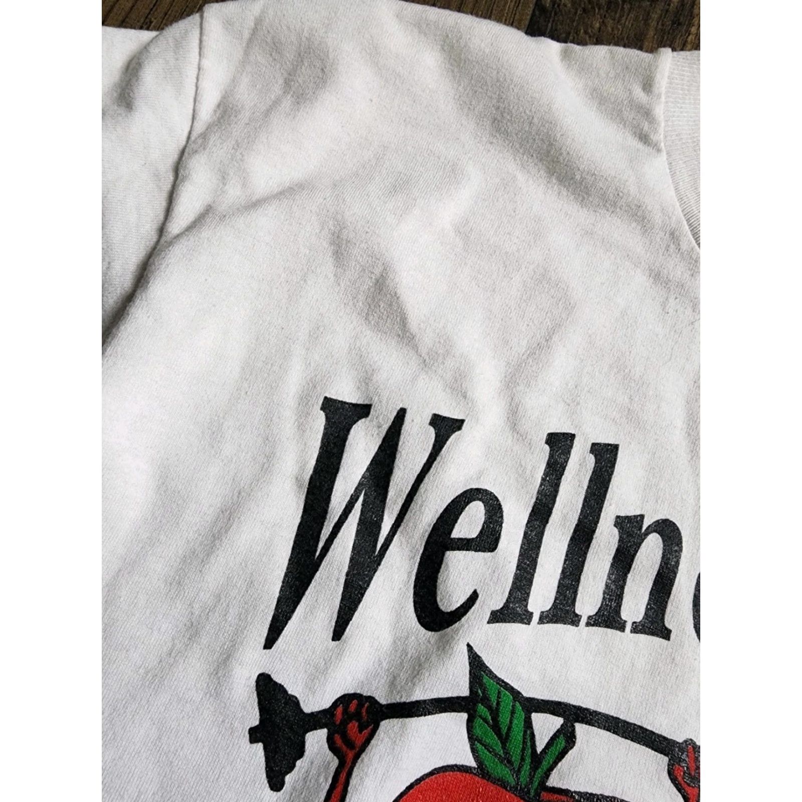 Fruit Of The Loom Vintage Mens L Wellness Works Apple Polk County FL Schools T Shirt Distressed Size US L / EU 52-54 / 3 - 6 Thumbnail