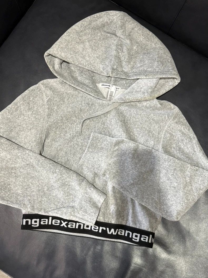 Alexander Wang Alexander Wang Gray Velvet Hoodie- Size S / US 4 / IT 40 - 1 Thumbnail