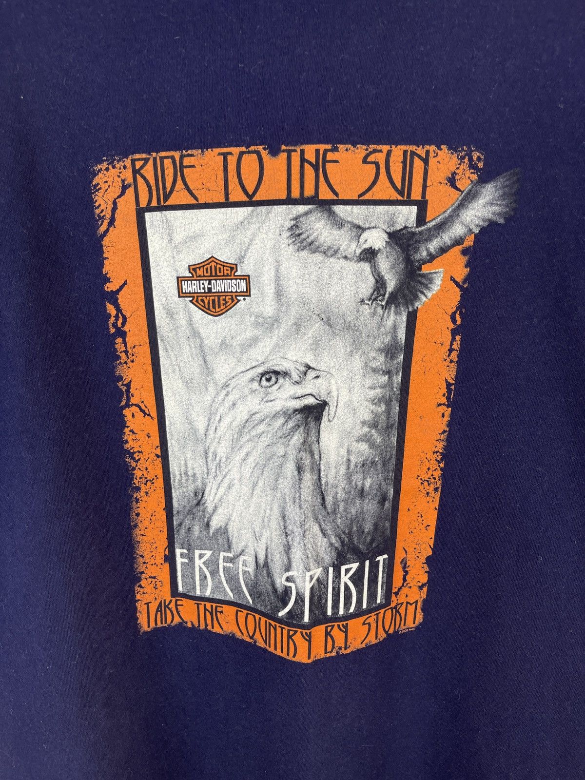 Harley Davidson Harley-Davidson vintage 2002 Tee Ride To the Sun Free Spirit Size US XL / EU 56 / 4 - 5 Thumbnail