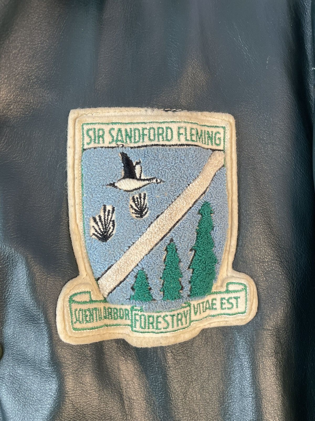 Vintage Canadian College Forestry jacket Size US M / EU 48-50 / 2 - 8 Thumbnail