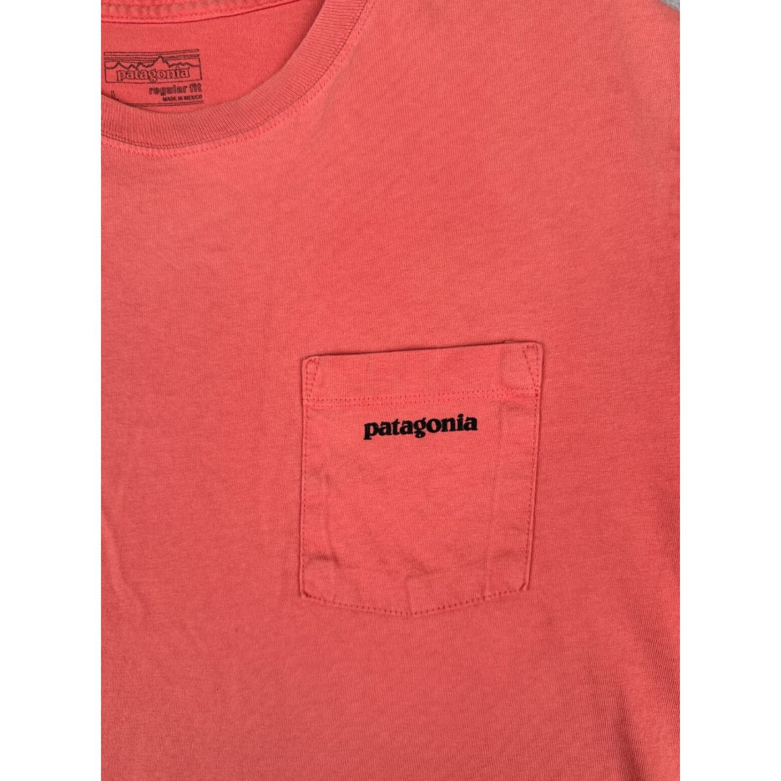 Patagonia Patagonia Shirt Men L Pink Short Sleeve Crew Neck 100% Cotton Hike Logo All Seasons Breathable Size US L / EU 52-54 / 3 - 6 Thumbnail