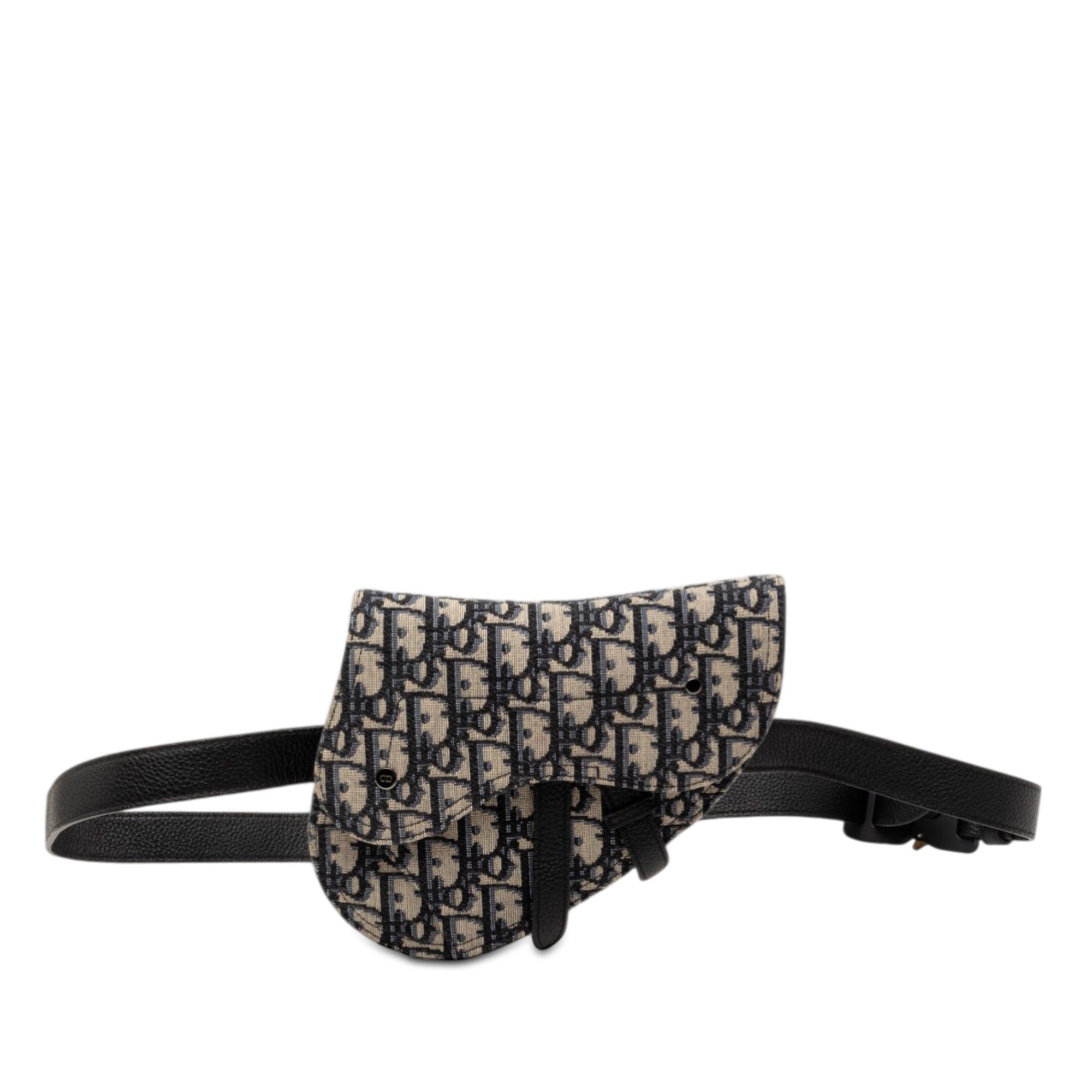 Dior Oblique Canvas Saddle Belt Bag Size ONE SIZE - 1 Thumbnail