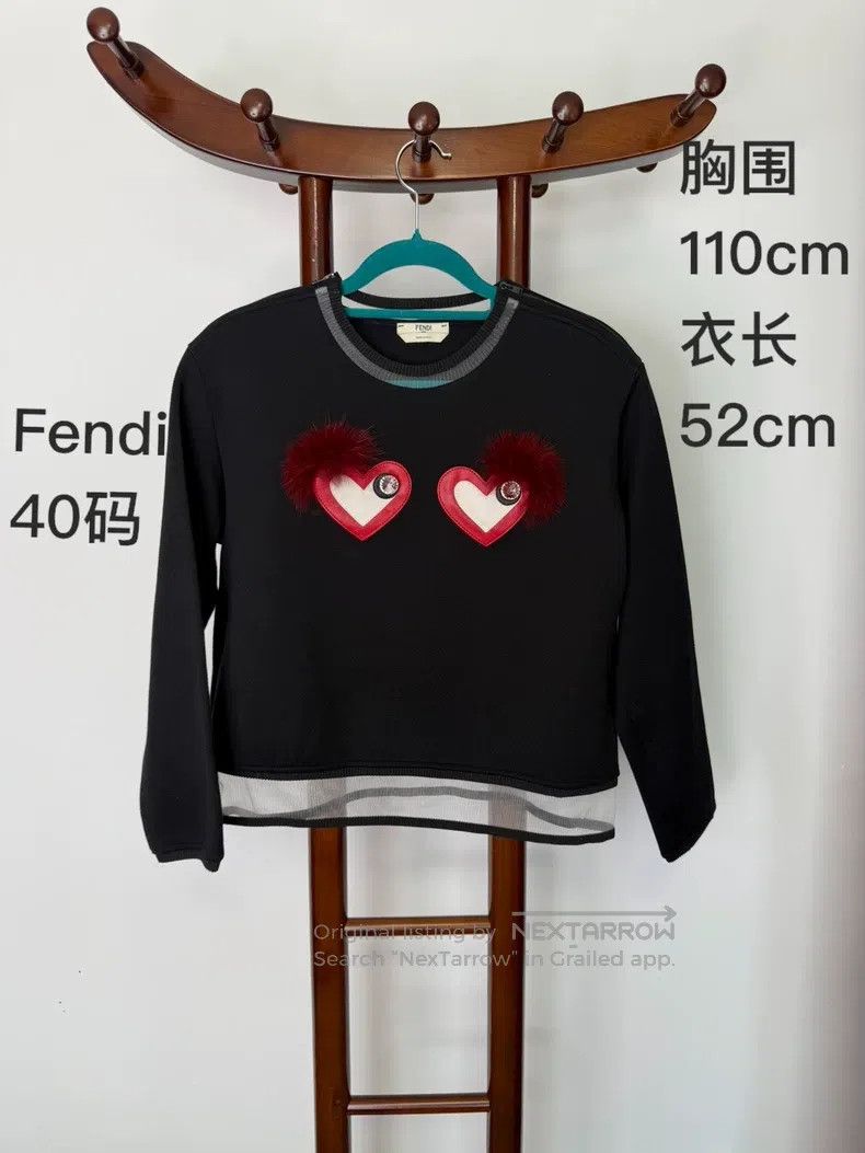 Fendi Fendi Short hoodie with patchwork design of sheepskin and Size XS / US 0-2 / IT 36-38 - 1 Thumbnail
