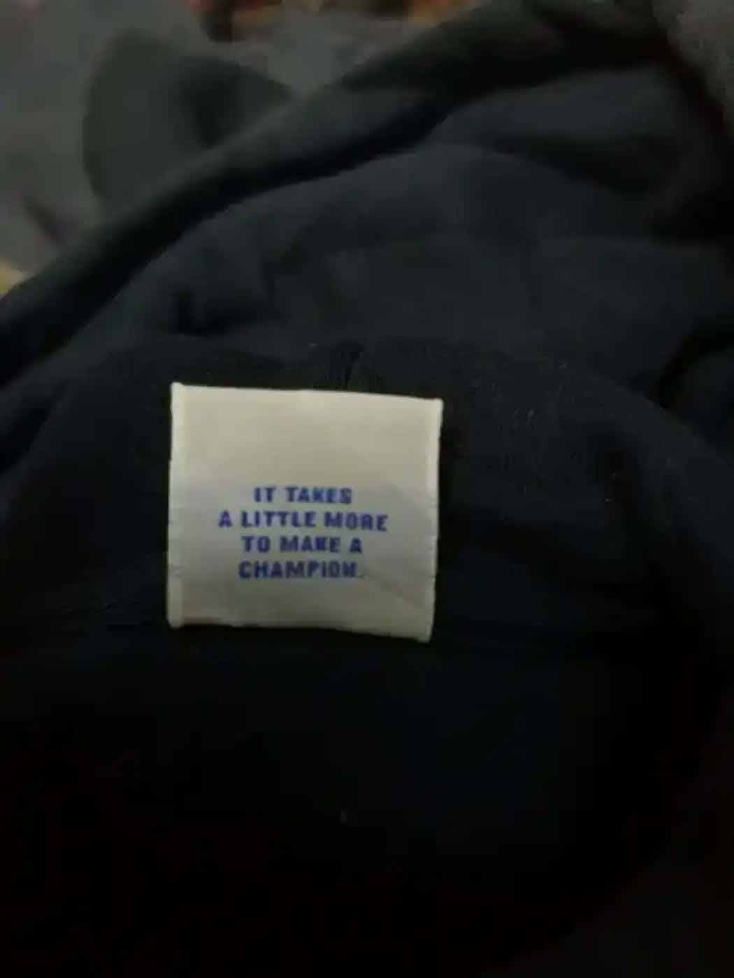 Champion Vintage Champion Sweatshirt Hoodie Size US L / EU 52-54 / 3 - 3 Thumbnail