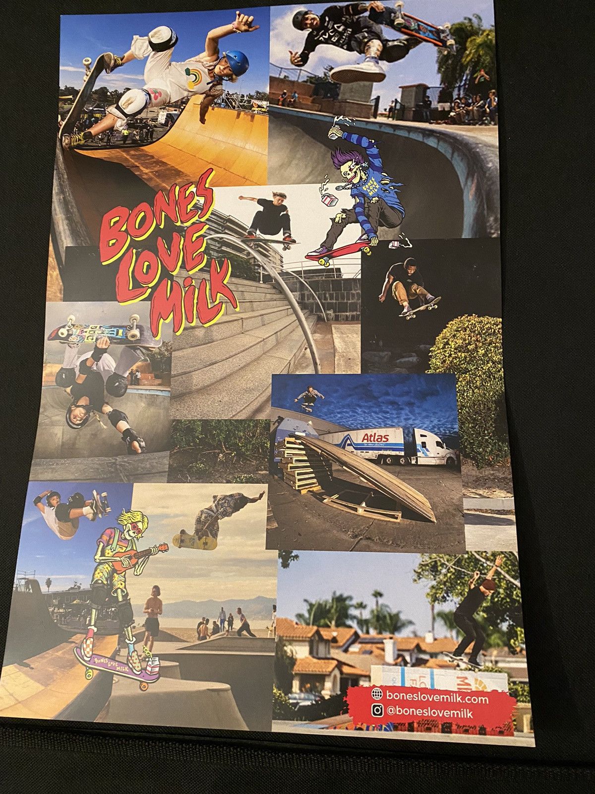 Powell Peralta × Vans Bones love milk Powell Peralta skateboard poster Size ONE SIZE - 1 Preview