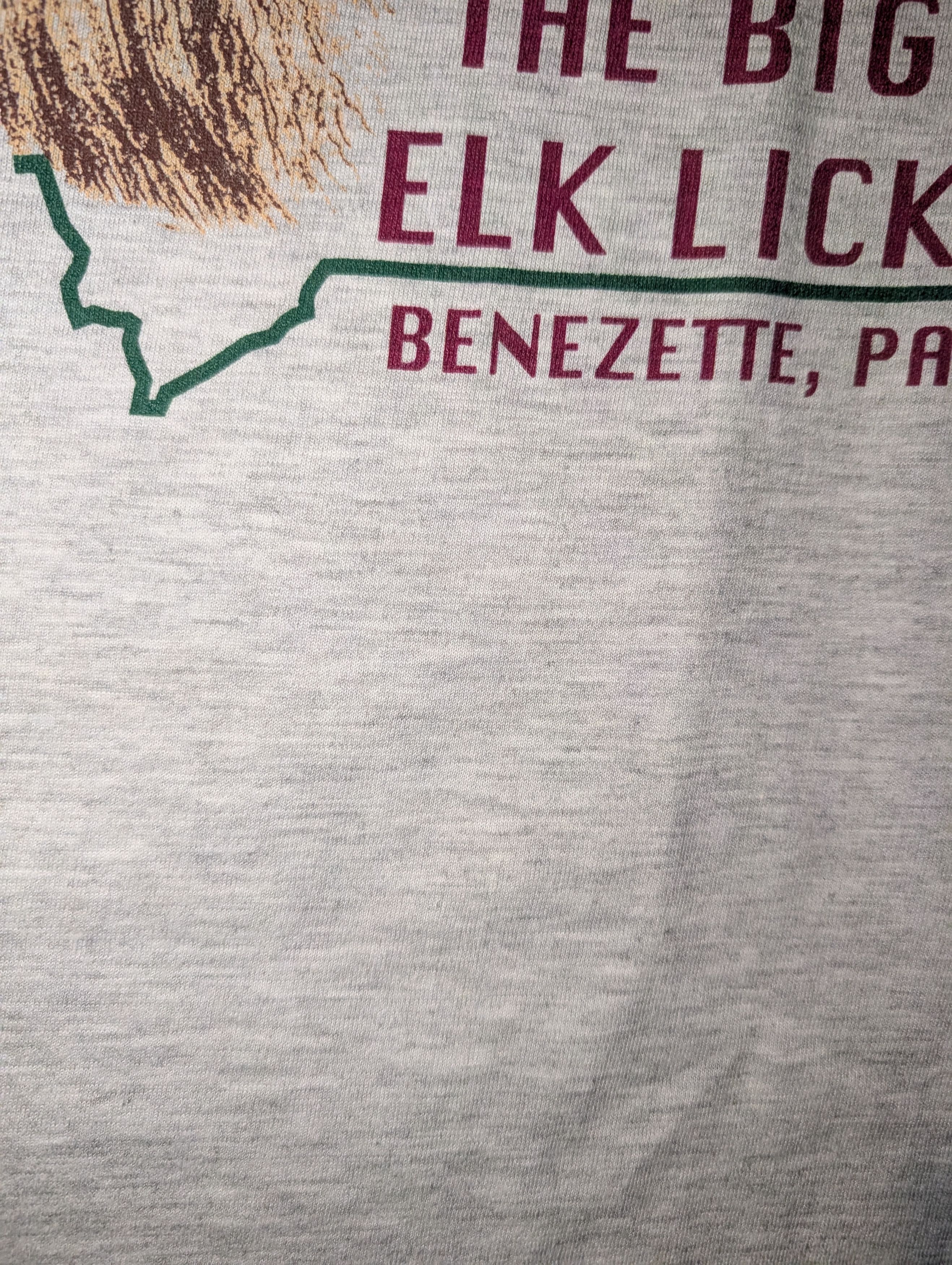 Jerzees Vintage 90s The Big Elk Lick Animal Nature Hunting T-Shirt Size US L / EU 52-54 / 3 - 9 Thumbnail