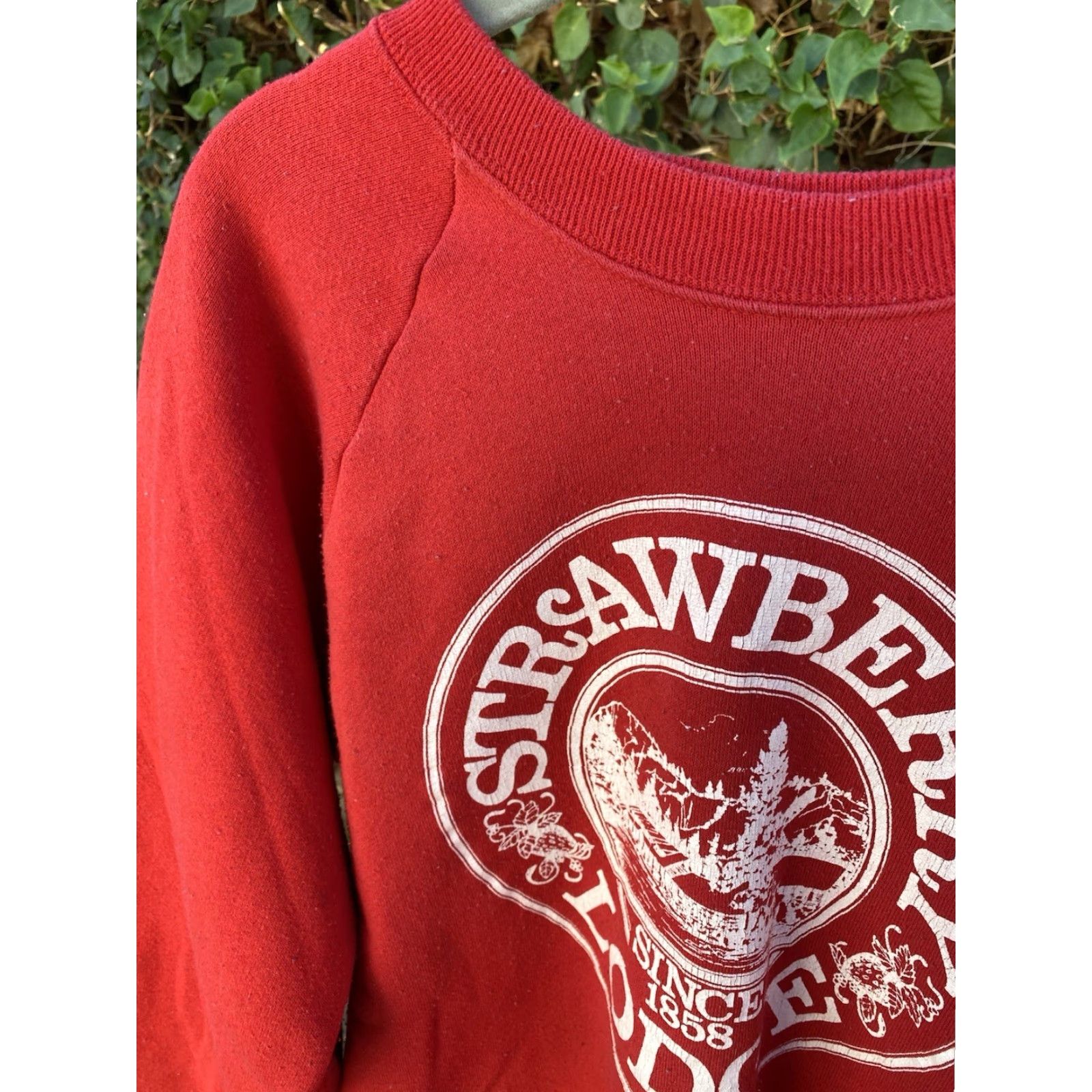 Fruit Of The Loom VINTAGE Fruit of the Loom Raglan Sweatshirt Graphic Print Red Strawberry Lodge Since 1858 L Men Shirt pullover Size US L / EU 52-54 / 3 - 7 Thumbnail