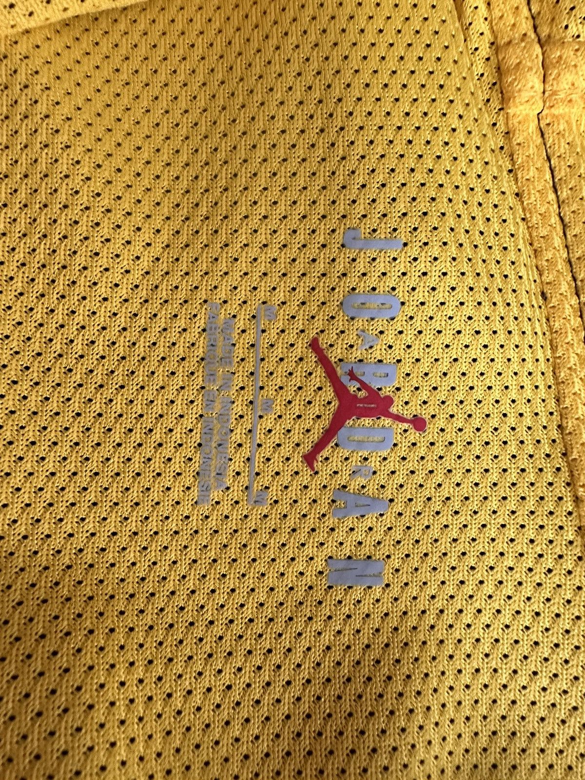 Jordan Brand Player exclusive University of Michigan hoodie Size US M / EU 48-50 / 2 - 8 Thumbnail