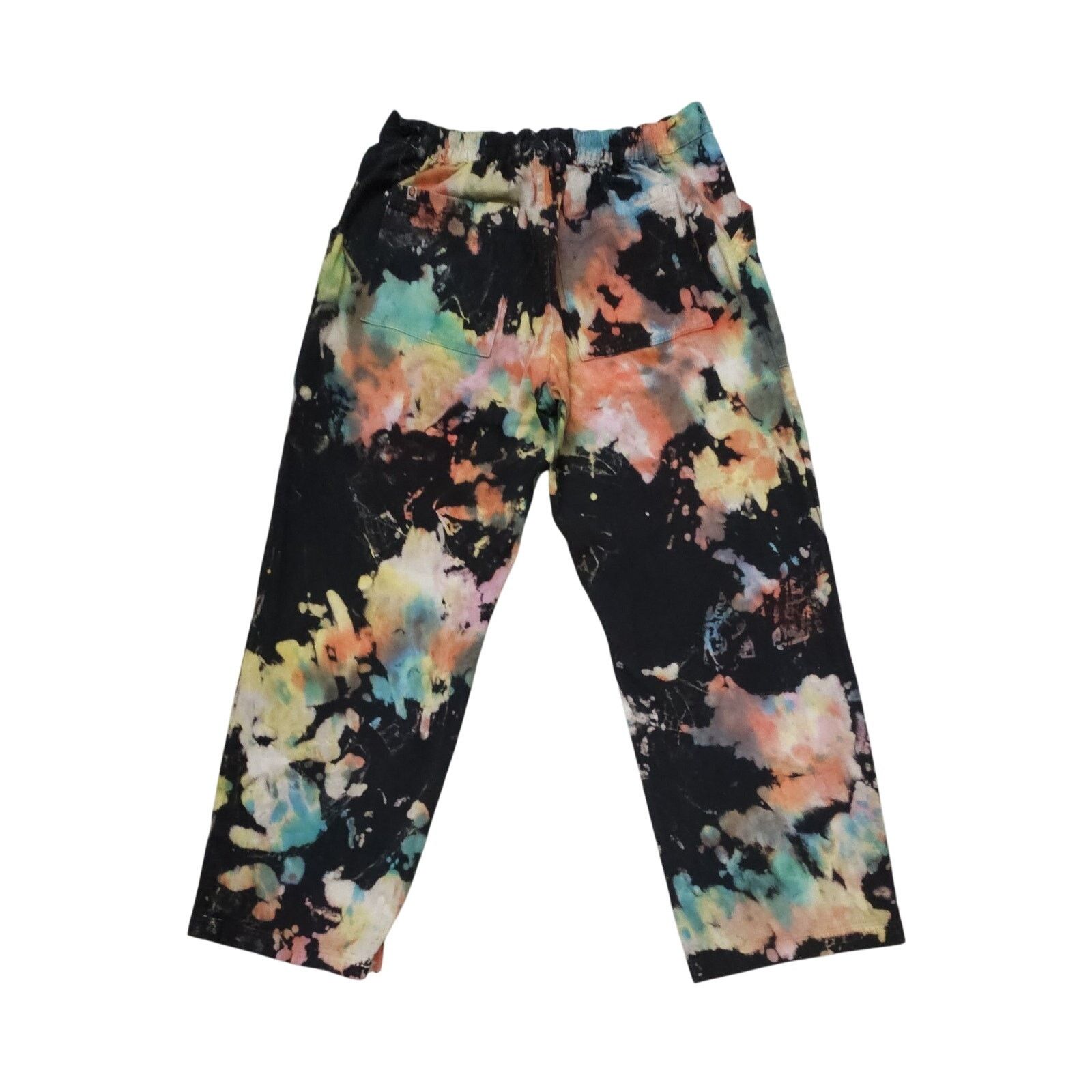BIG BUD PRESS Work Pants RAINBOW MAGIC WATERS Size XL