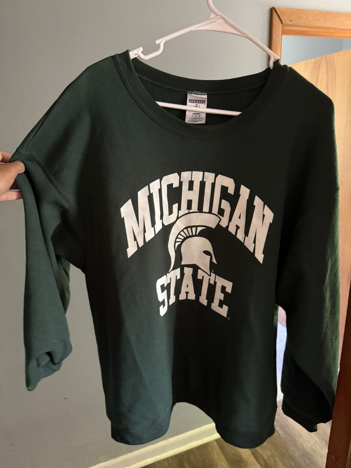 Jerzees × Vintage Vintage Michigan state crewneck Size US XL / EU 56 / 4 - 1 Thumbnail