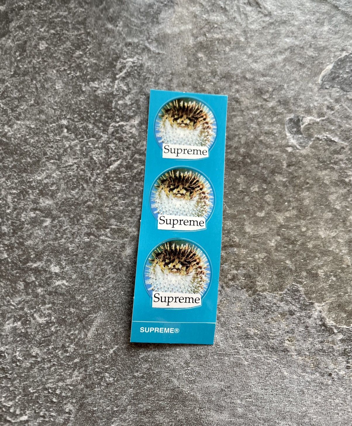 Supreme Supreme Puffer Fish 3 Mini-Sticker Set SS23 in Ocean Blue Size ONE SIZE - 1 Thumbnail