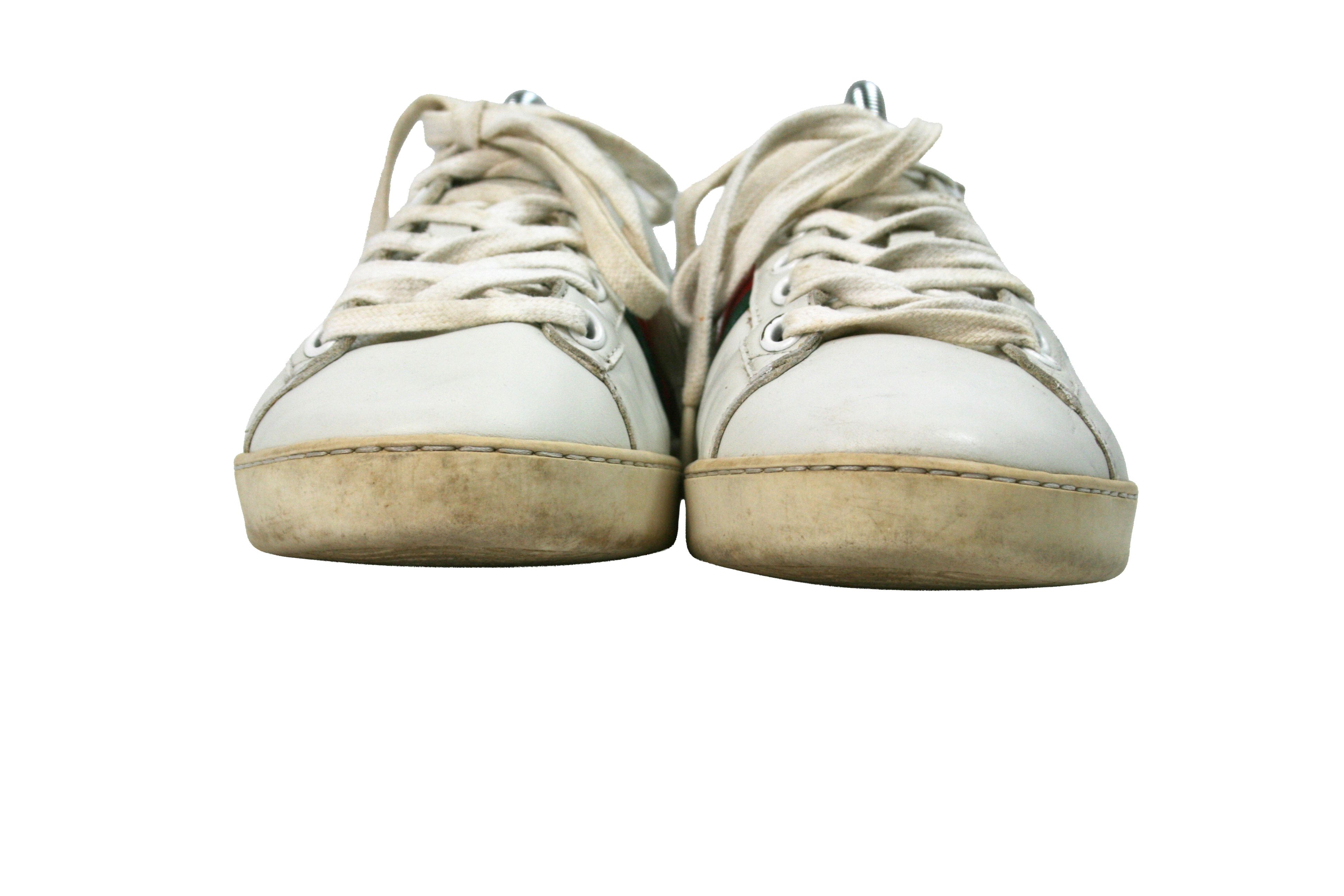 Ace Bee Embroidered Leather Low Sneakers