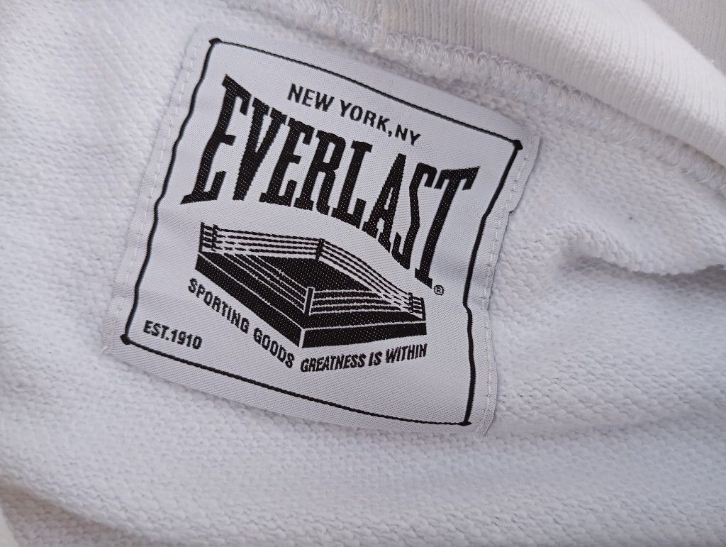 Everlast Everlast 🥊💥 Hoodie Pullover sweater gym boxing Size US L / EU 52-54 / 3 - 3 Thumbnail