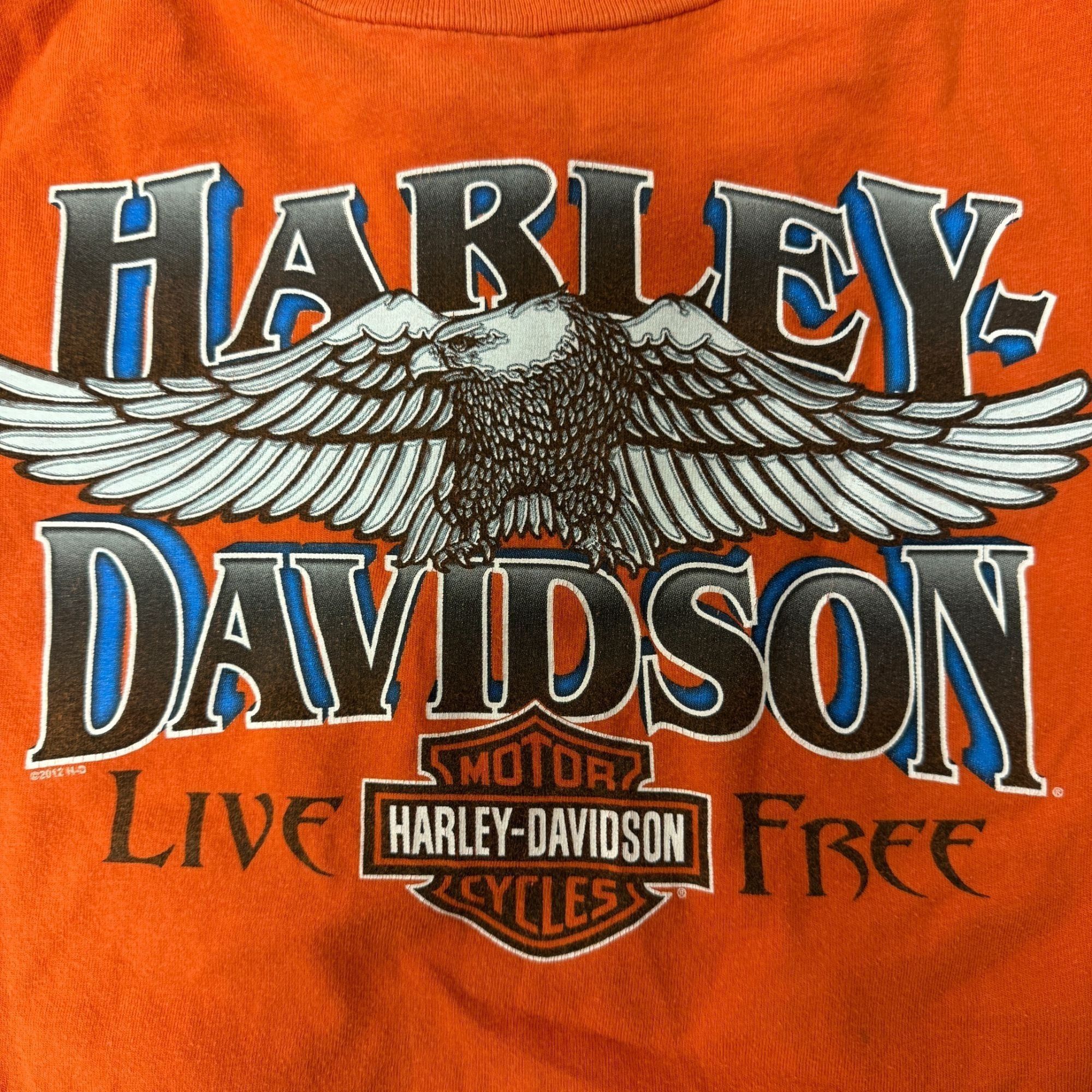 Harley Davidson H-D Motorcycle Texas HORNY TOAD Cowboy Playing GUITAR Biker Size US L / EU 52-54 / 3 - 4 Thumbnail