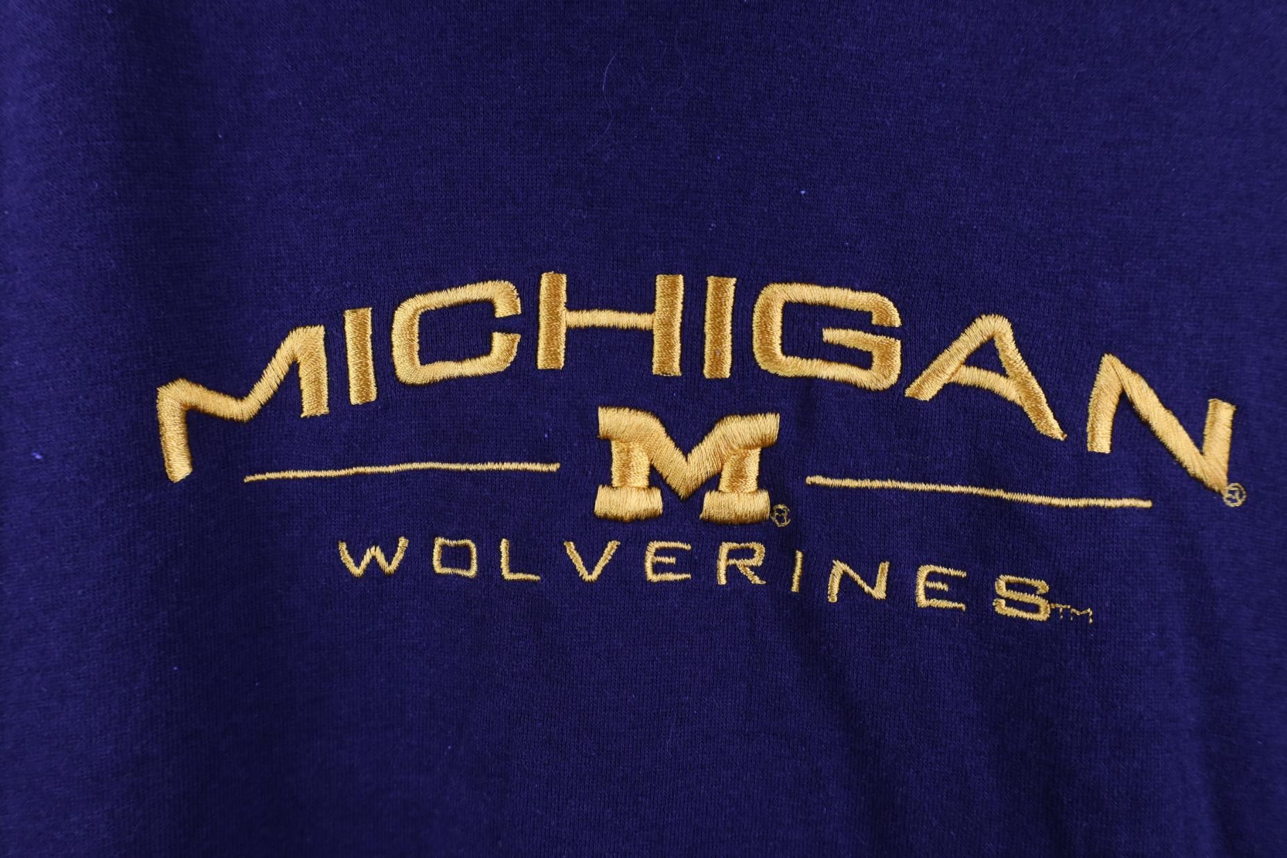 Vintage Vintage 90s Y2k University of Michigan Hoodie Sweatshirt Size US M / EU 48-50 / 2 - 4 Thumbnail