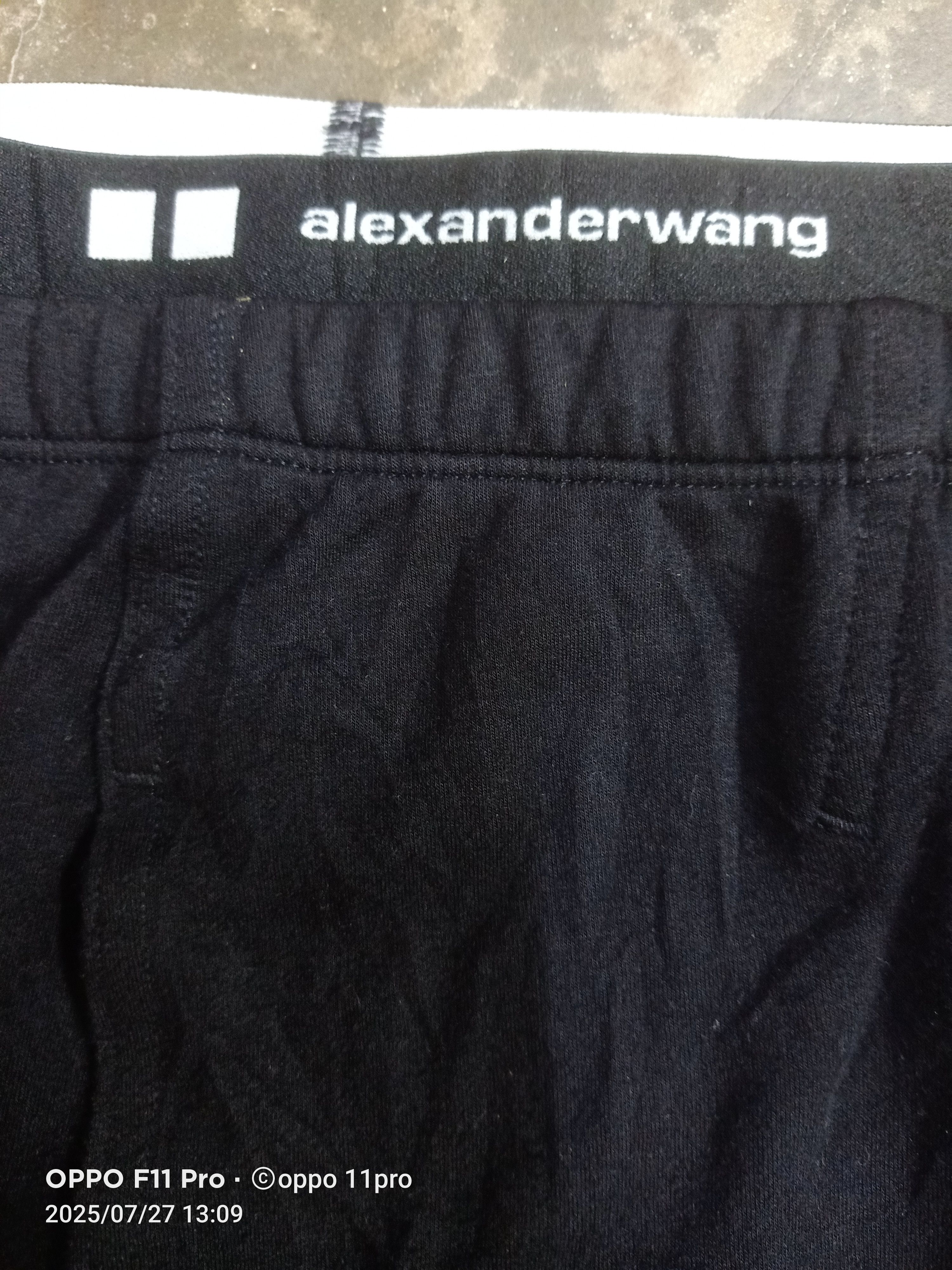 Alexander Wang Alexander wang Jogger Pants Cross Uniqlo 🌟 Size US 30 / EU 46 - 3 Thumbnail