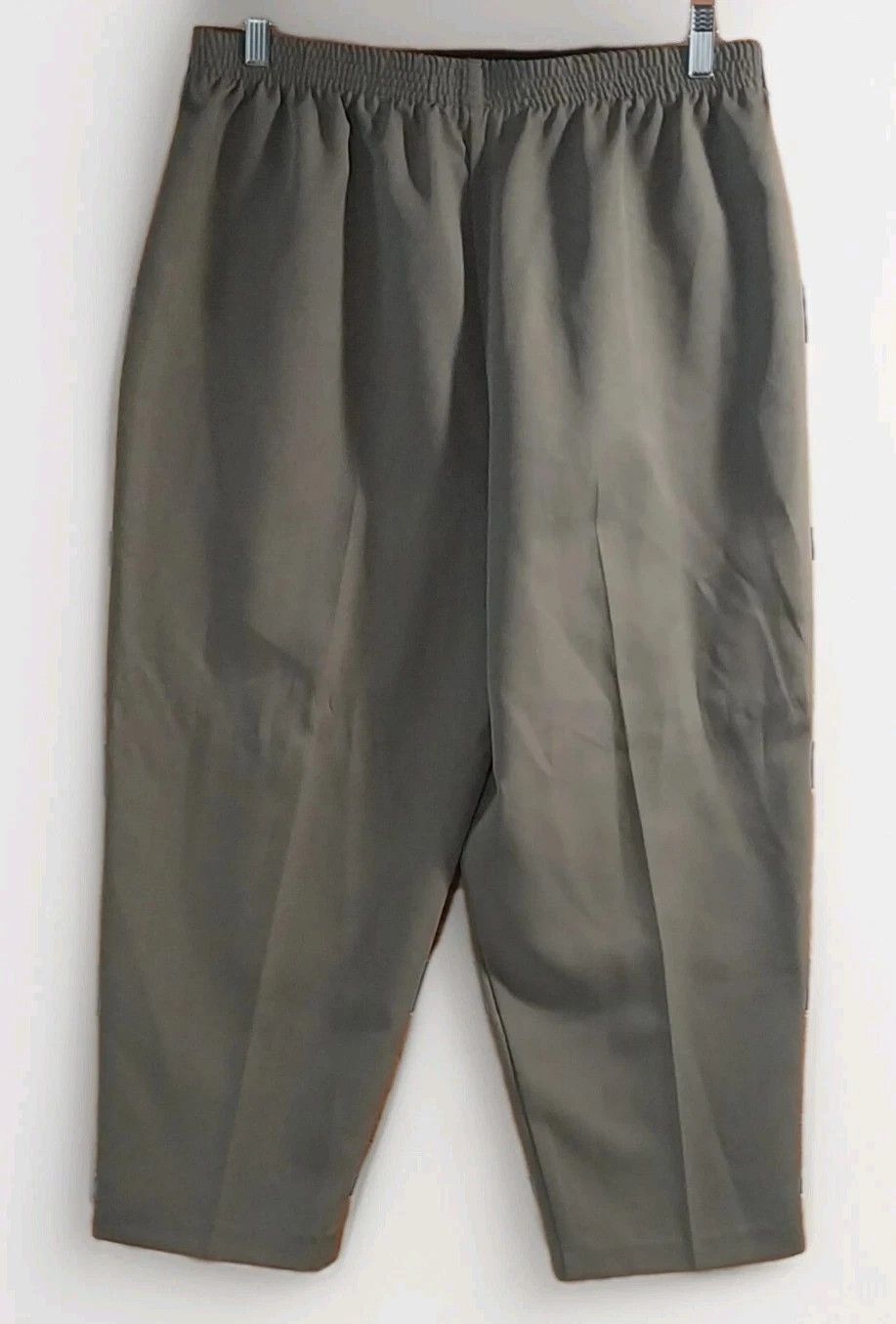 Other Briggs New York Womens 16P Petite Brown Dress Pants Size 38" / US 16 / IT 52 - 2 Thumbnail