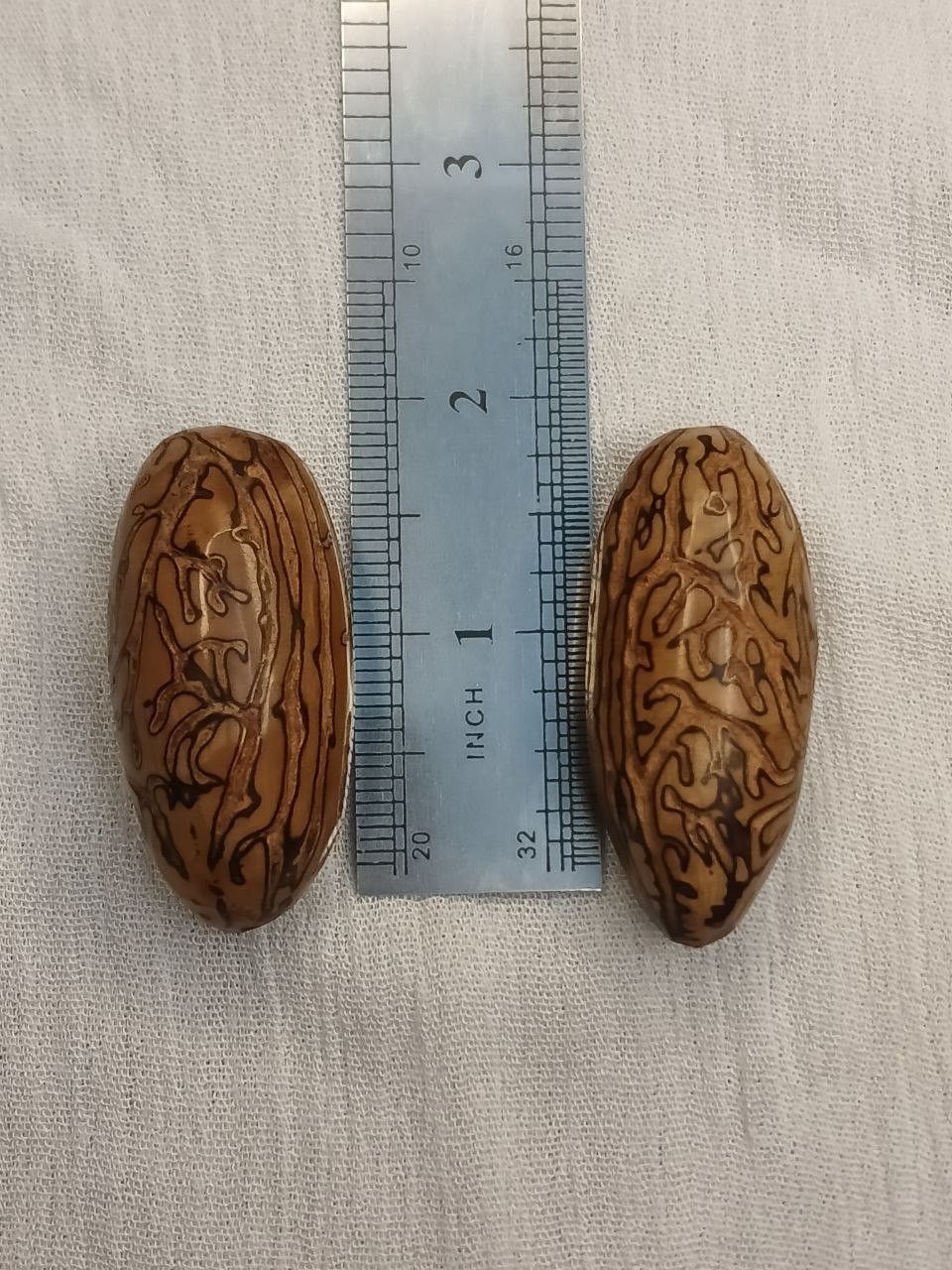 Vintage Natural antique oud natural cruciferous treenaturally Size ONE SIZE - 3 Thumbnail
