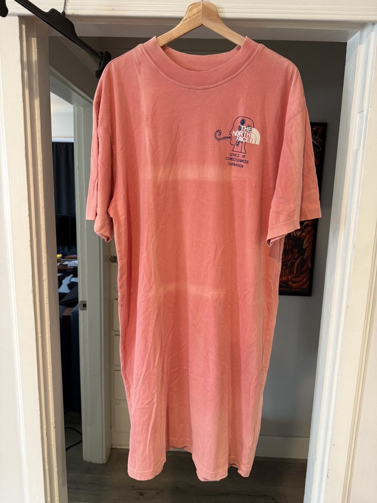 Brain Dead × The North Face Long Graphic T-Shirt Dress Size L / US 10 / IT 46 - 1 Thumbnail