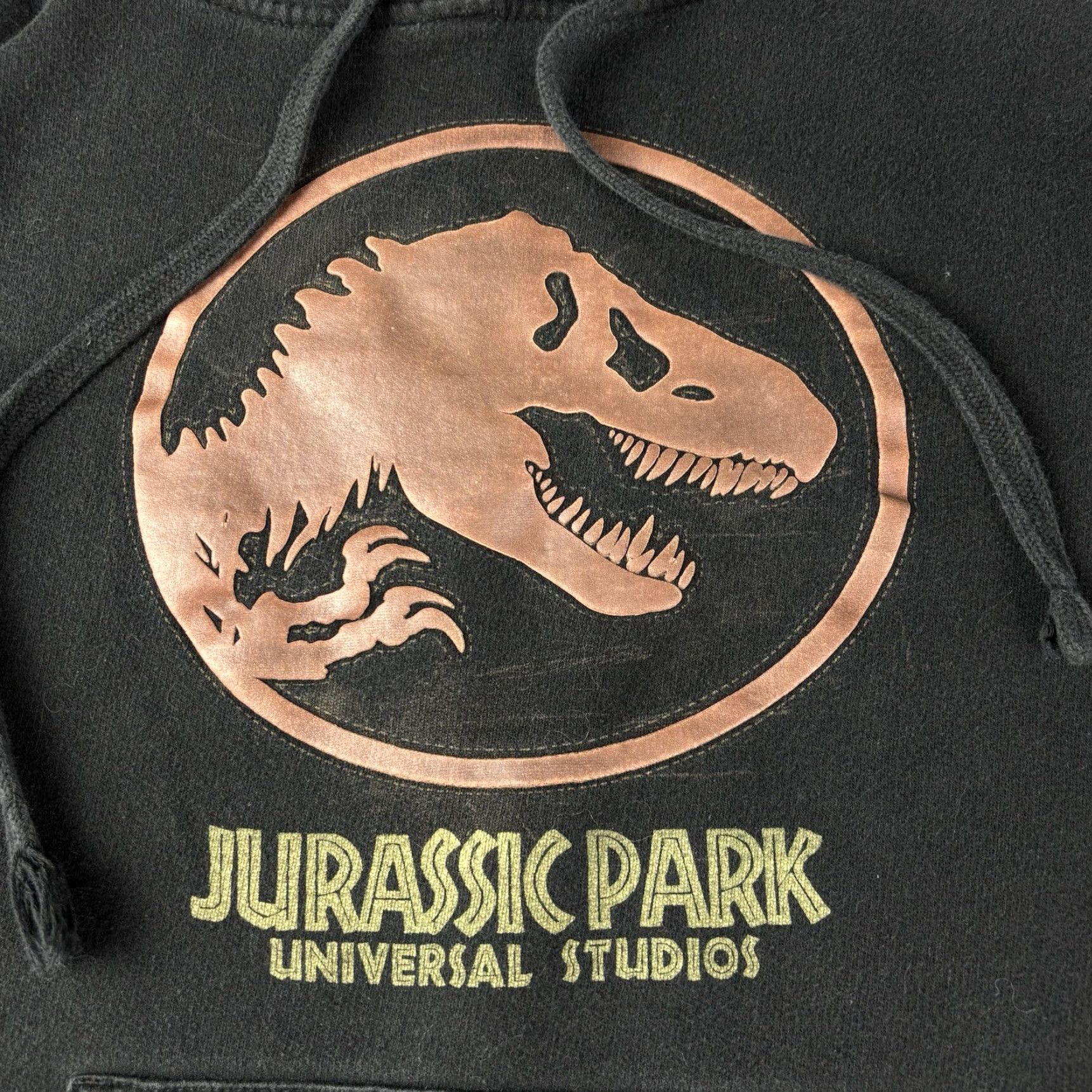 Vintage Jurassic Park Universal Studios Pullover Black Graphic Hoodie Men’s Medium Hooded Logo 90s Dinosaurs Movie Fan Shirt? Size US M / EU 48-50 / 2 - 2 Thumbnail