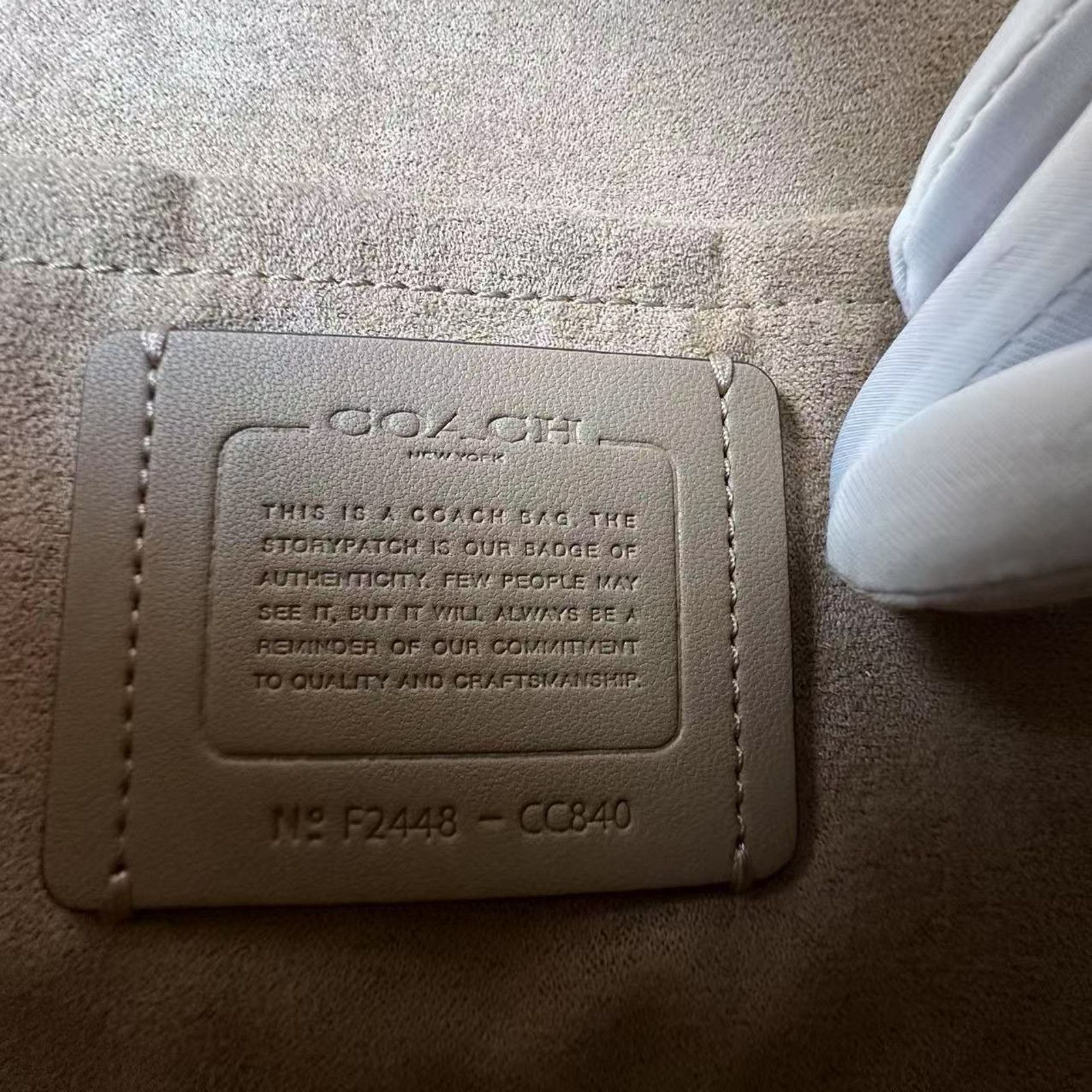 Coach Coach Klare xbody Crocodile-embossed Leather Silver Stone Size ONE SIZE - 8 Thumbnail