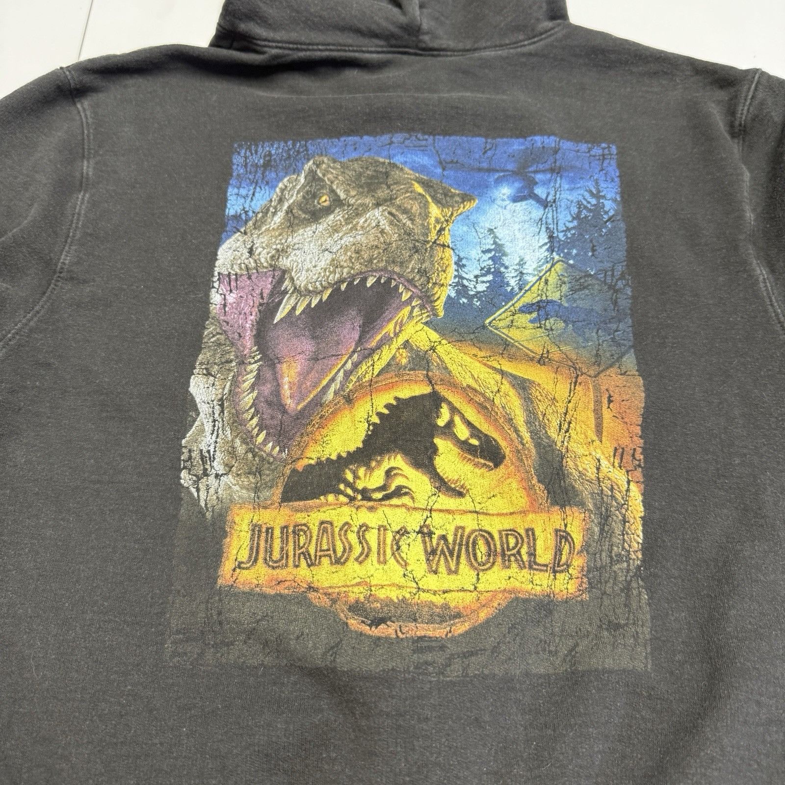 Universal Studios Jurassic World Universal Studios Hoodie Sweatshirt Small 17. Size US S / EU 44-46 / 1 - 6 Thumbnail