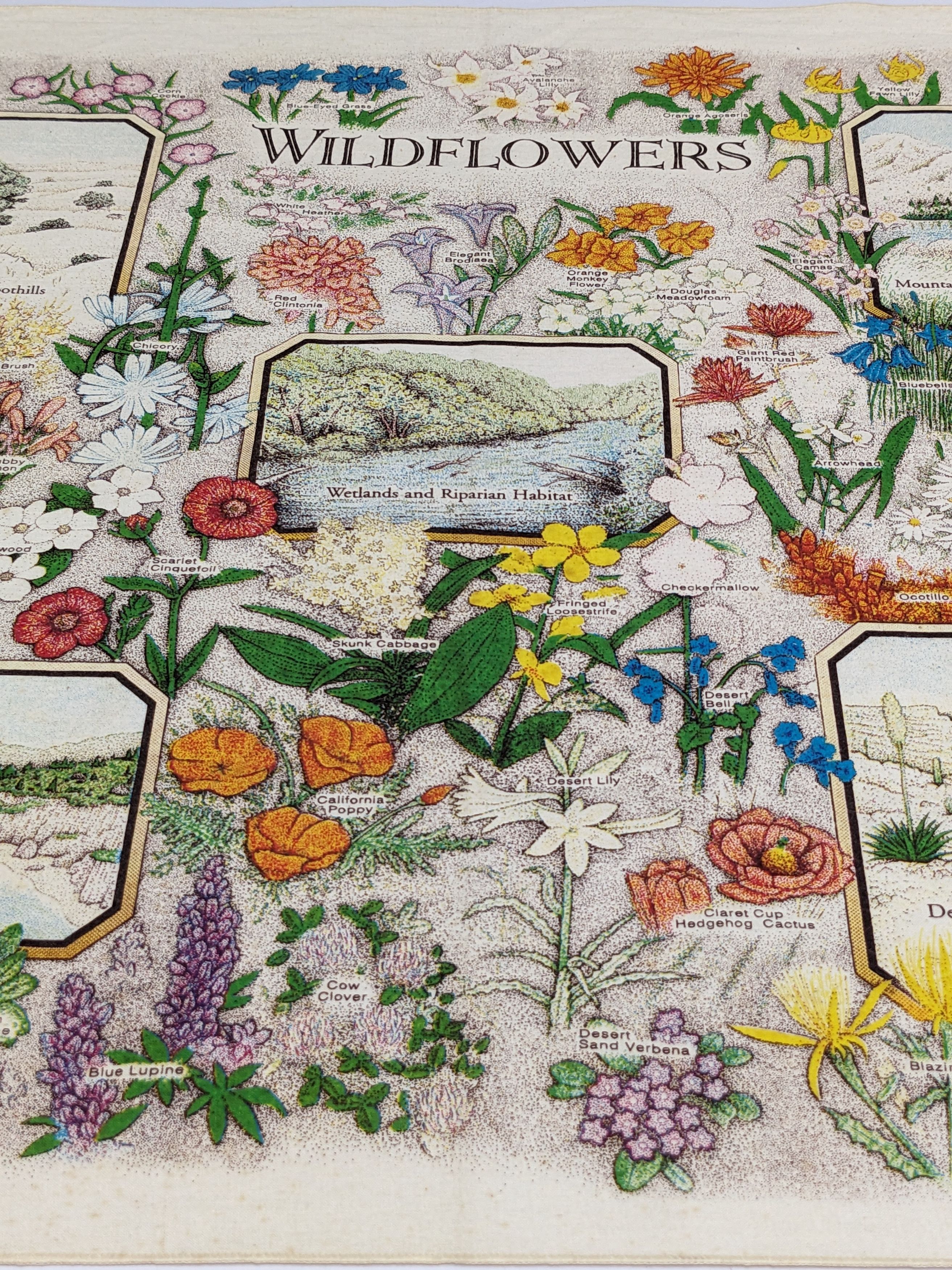 Primitive Vintage 1994 Wildflowers Nature Facts Bandana Size ONE SIZE - 2 Thumbnail
