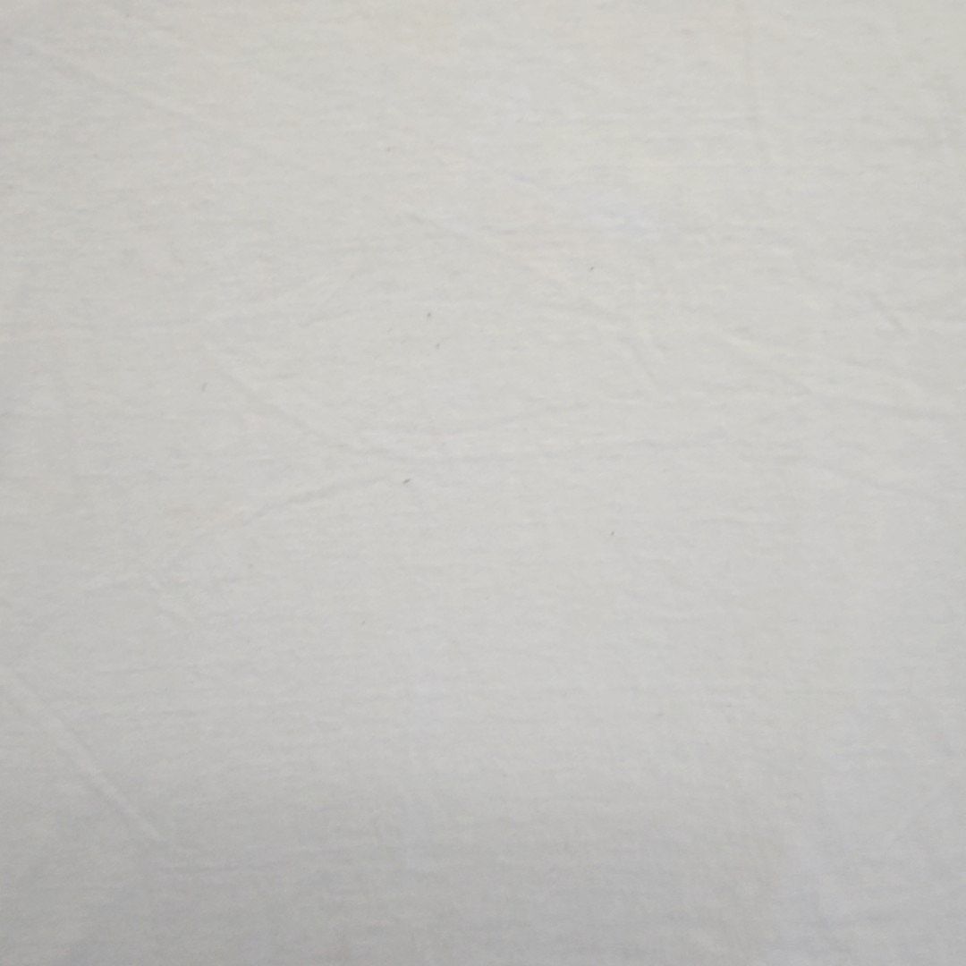 Gildan Iron Horse Bicycle Classic Tee 39th Annual White Large Size US XL / EU 56 / 4 - 13 Thumbnail