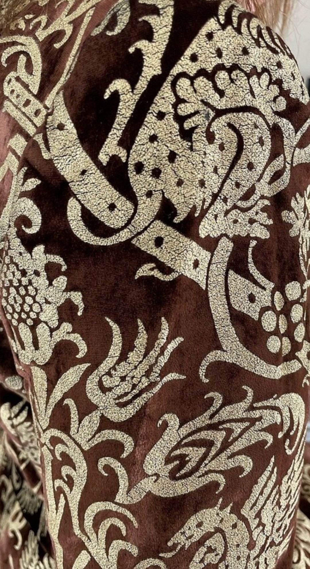 Roberto Cavalli ARCHIVE Roberto Cavalli FW06 Baroque Velvet Leopard Coat M Size M / US 6-8 / IT 42-44 - 11 Thumbnail