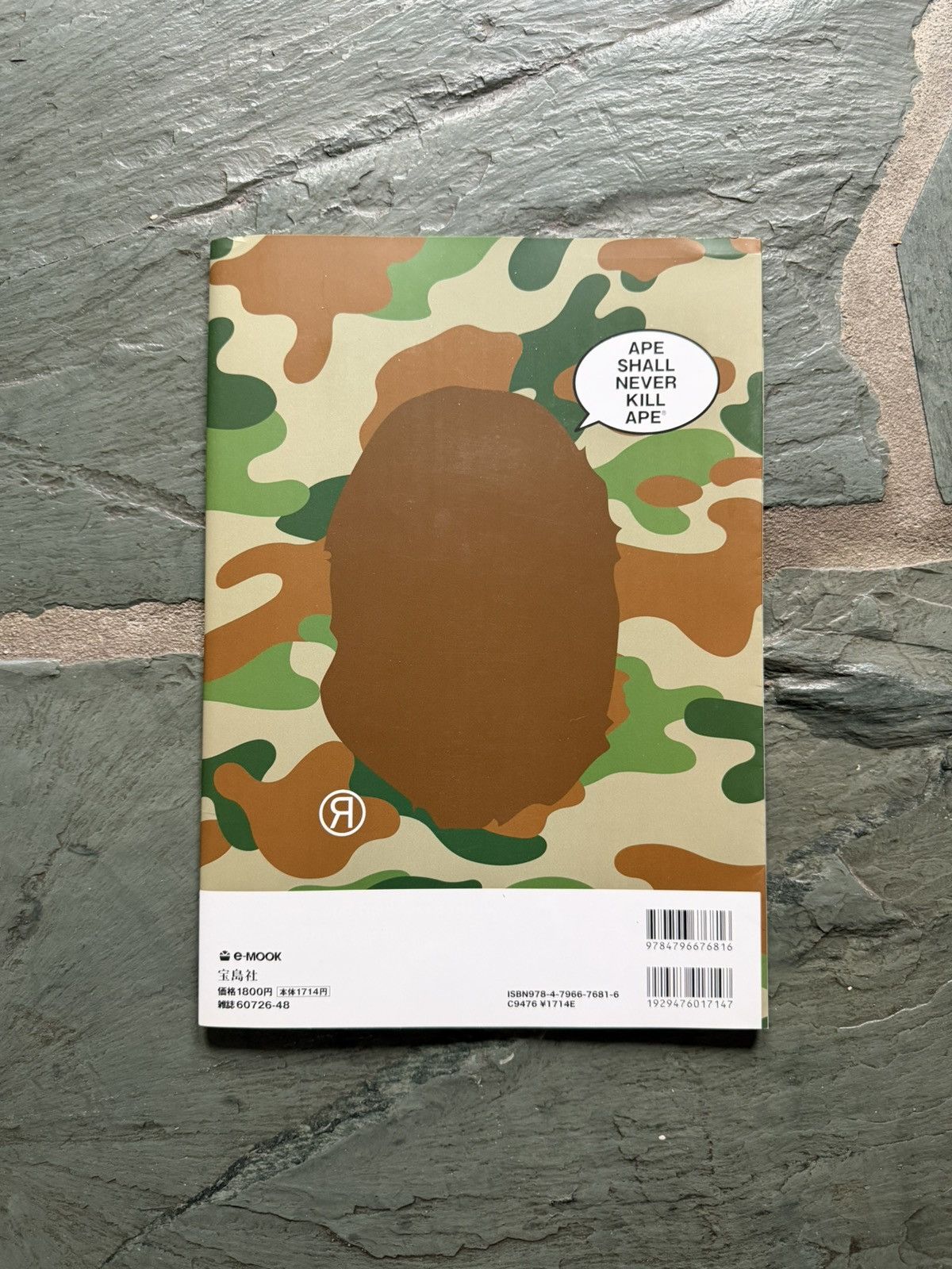 Bape Bape Kid Cudi 2010 Summer Collection EMOOK Magazine Size ONE SIZE - 5 Thumbnail