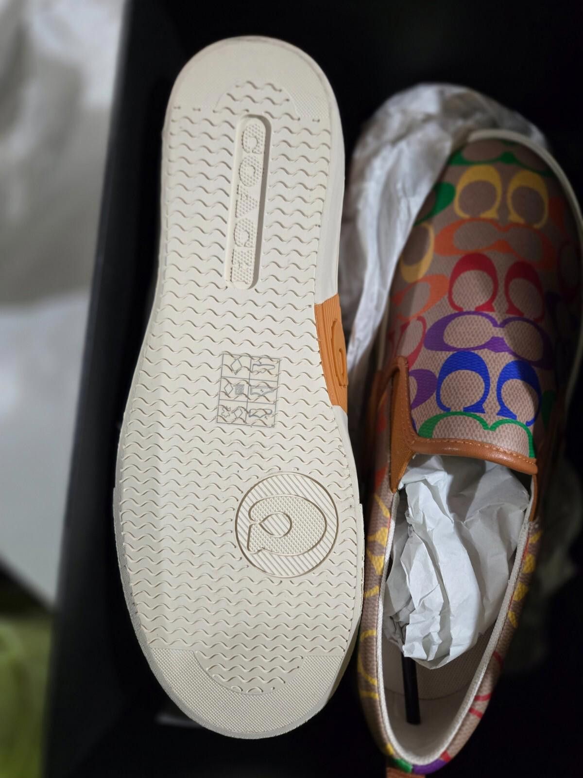 Coach Men's COACH Pride Rainbow Skate SlipOn Sneaker Tan 12 D NWT Size US 12 / EU 45 - 6 Thumbnail