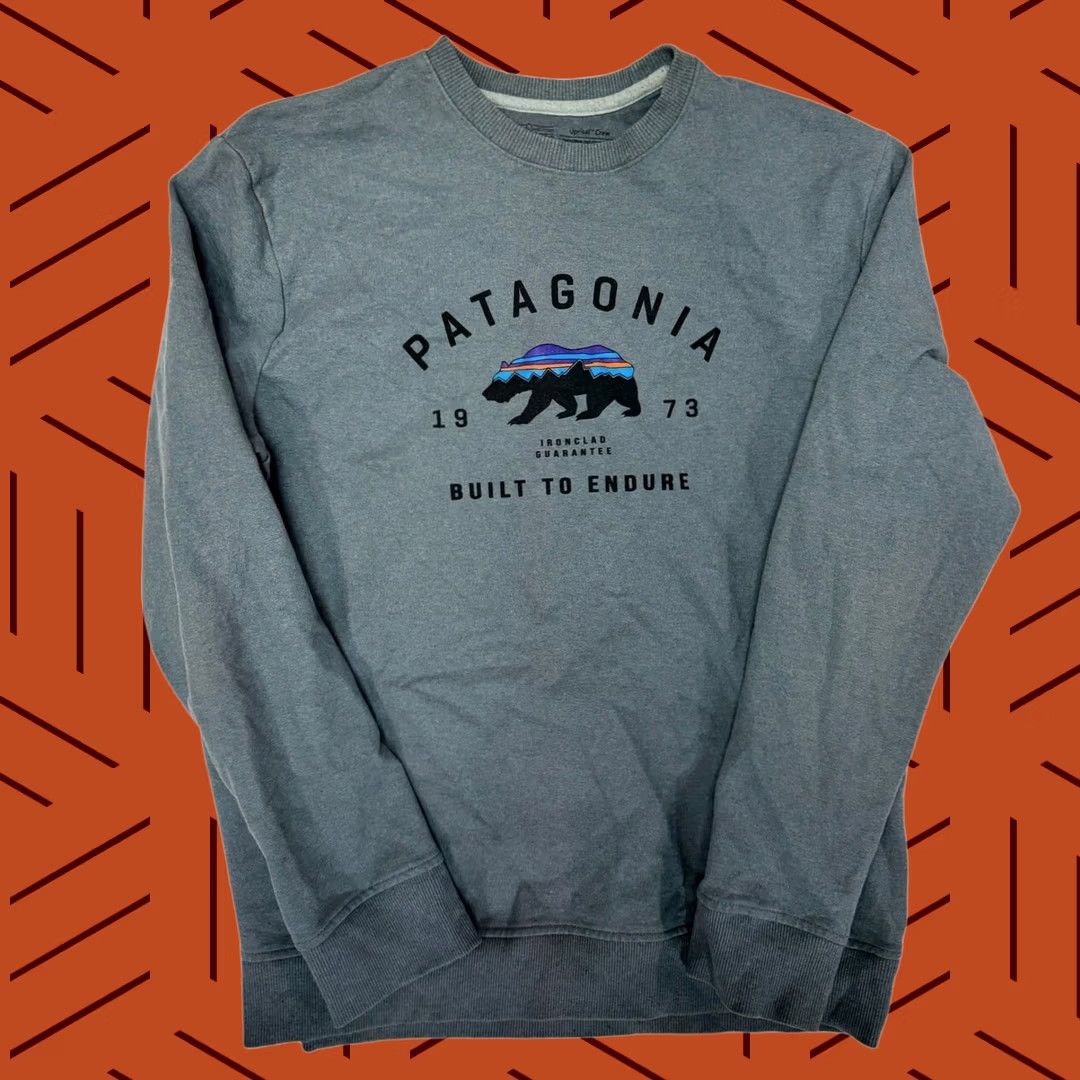 Patagonia Patagonia Mens Shadow Blue Size M Arched Fitz Roy Bear Sweatshirt Size US M / EU 48-50 / 2 - 1 Thumbnail