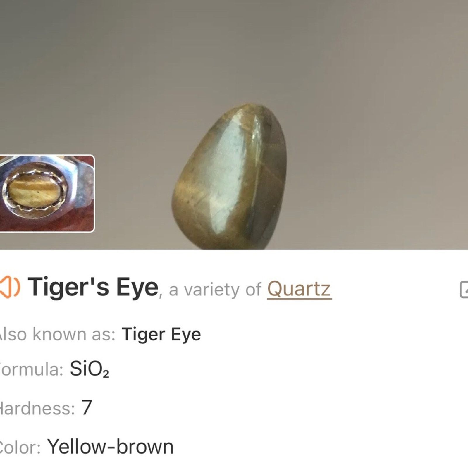 Vintage Vintage oval tiger eye cabochon gold plated clip on earrings Size ONE SIZE - 5 Thumbnail