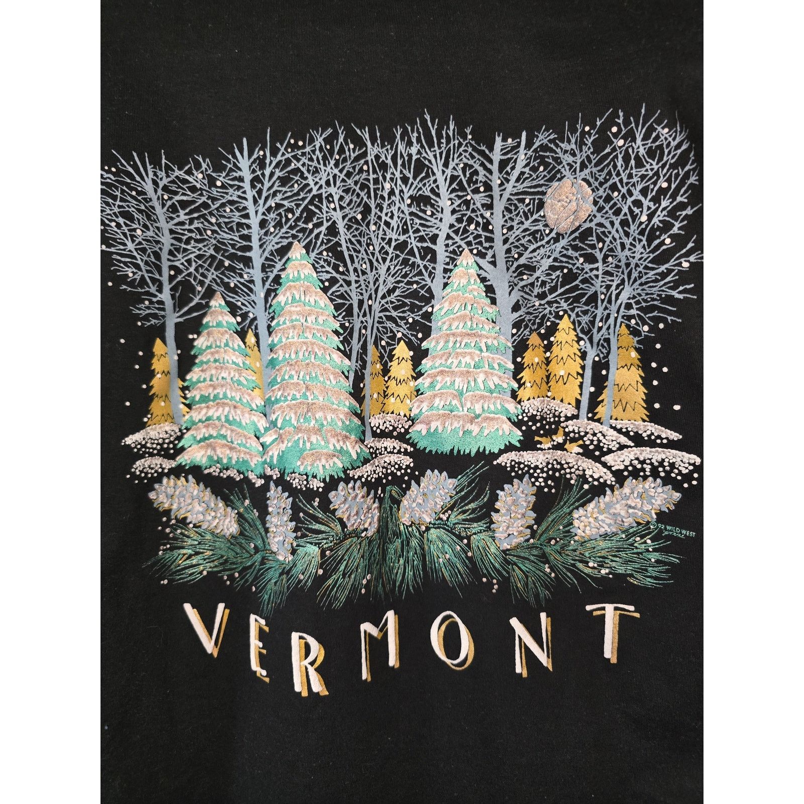 Jerzees × Vintage Vintage Test Shirt New Mexico Vermont Winter L Black Tee Size US L / EU 52-54 / 3 - 2 Thumbnail